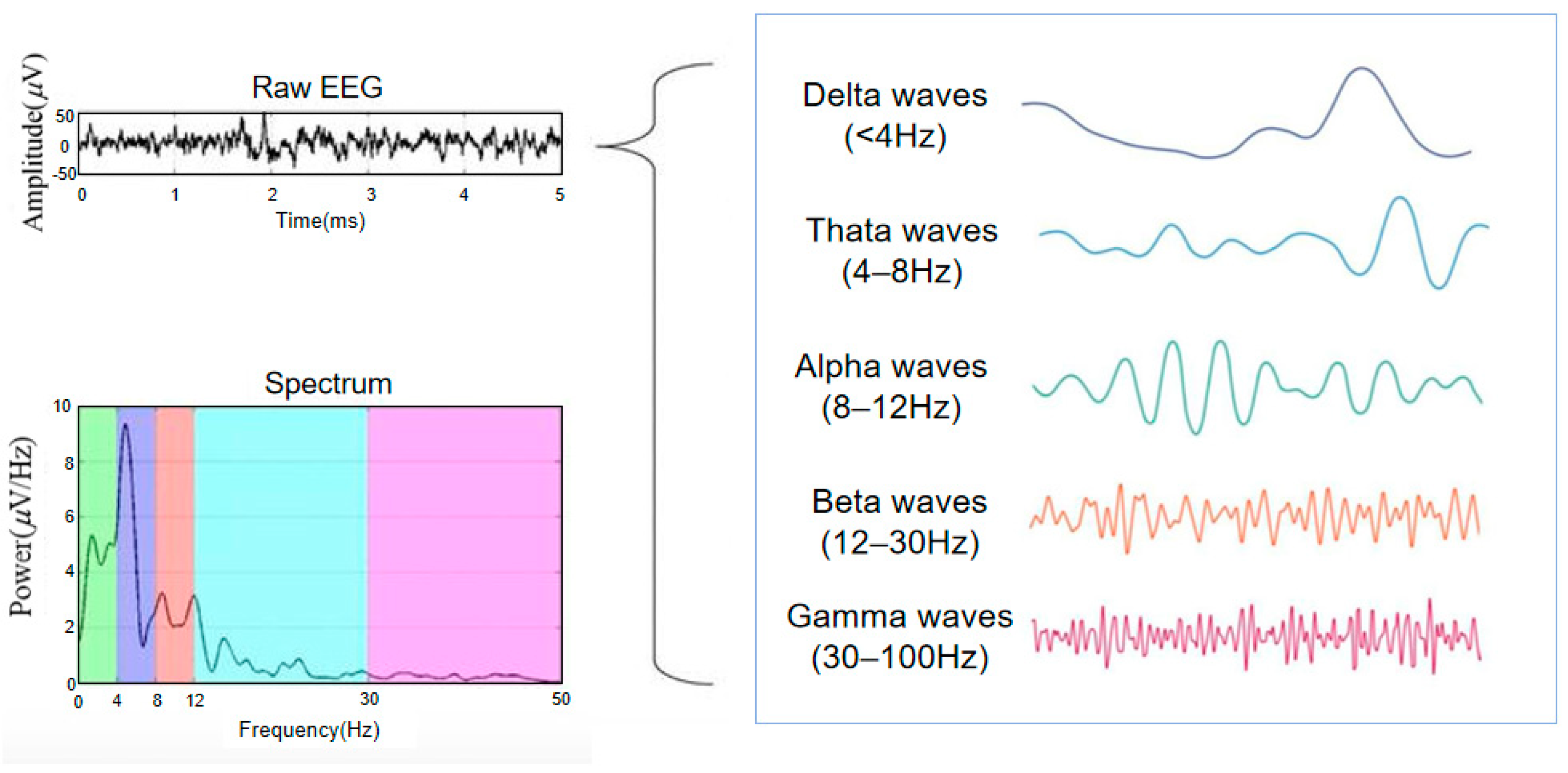 Sensors 24 04577 g001