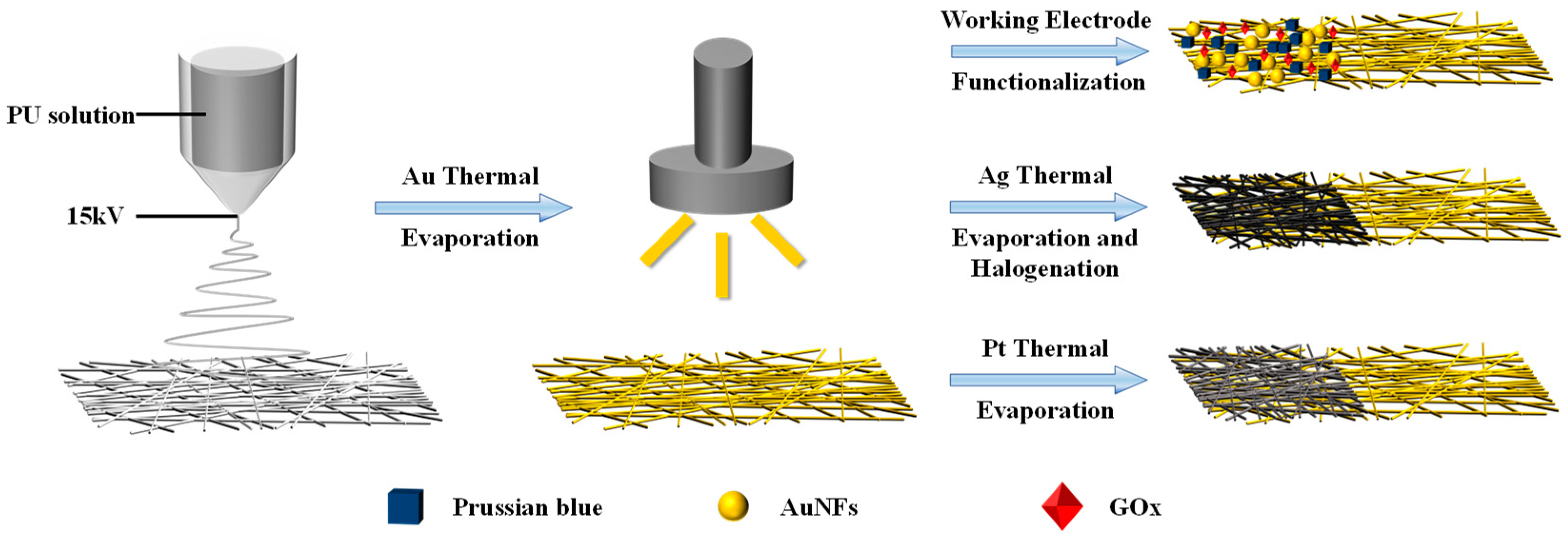 Sensors 24 04580 g001