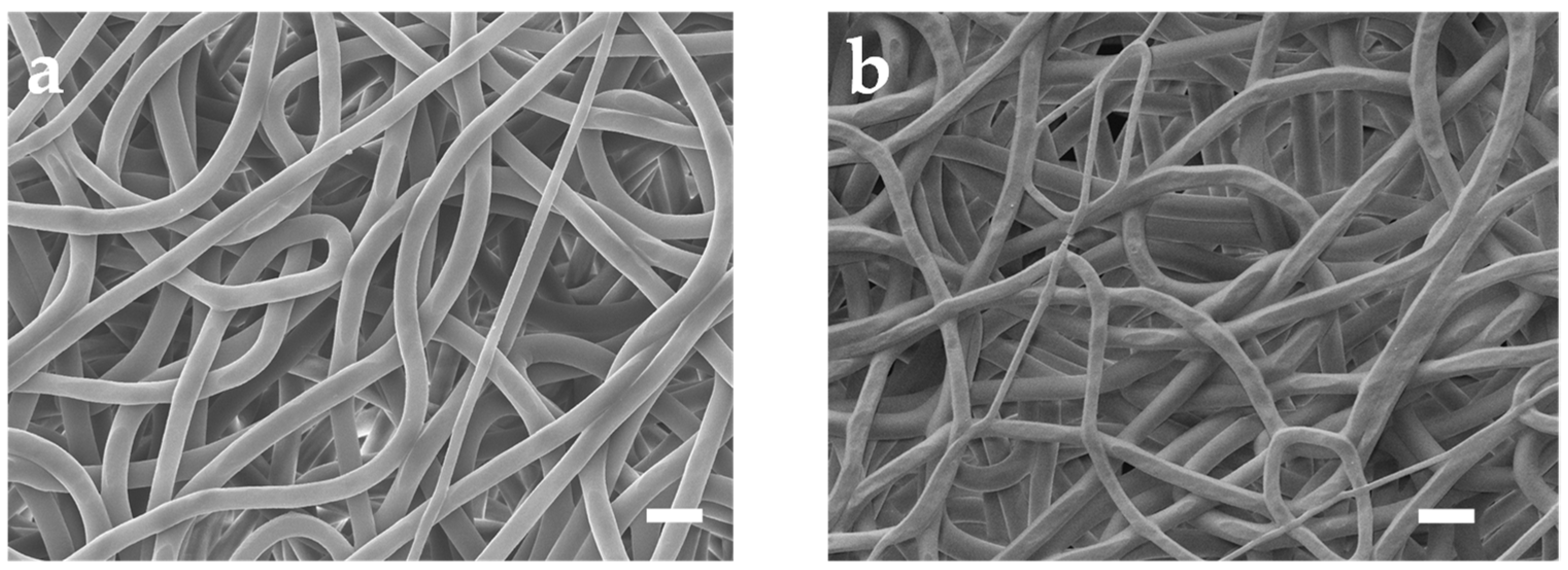 Sensors 24 04580 g002