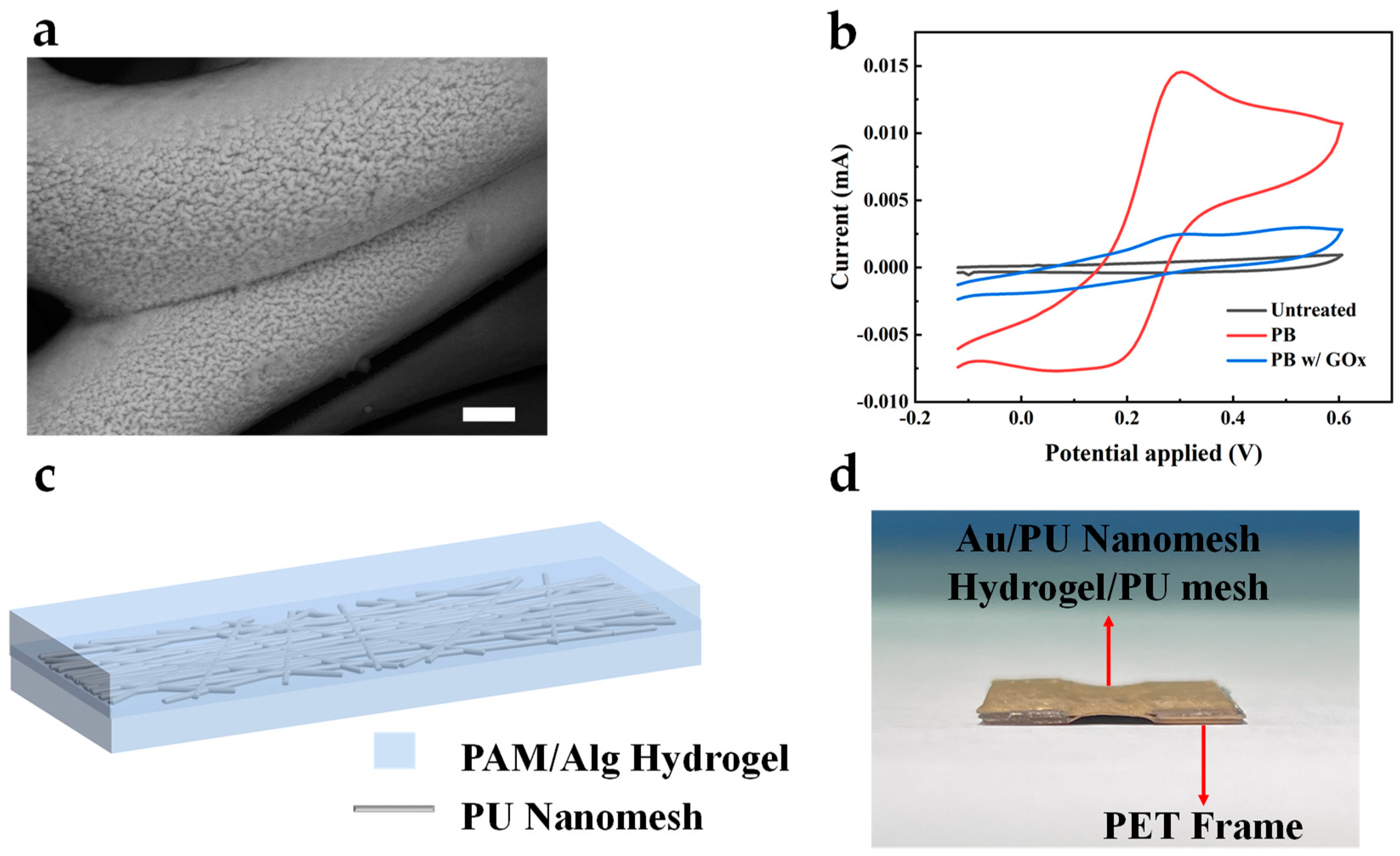Sensors 24 04580 g004