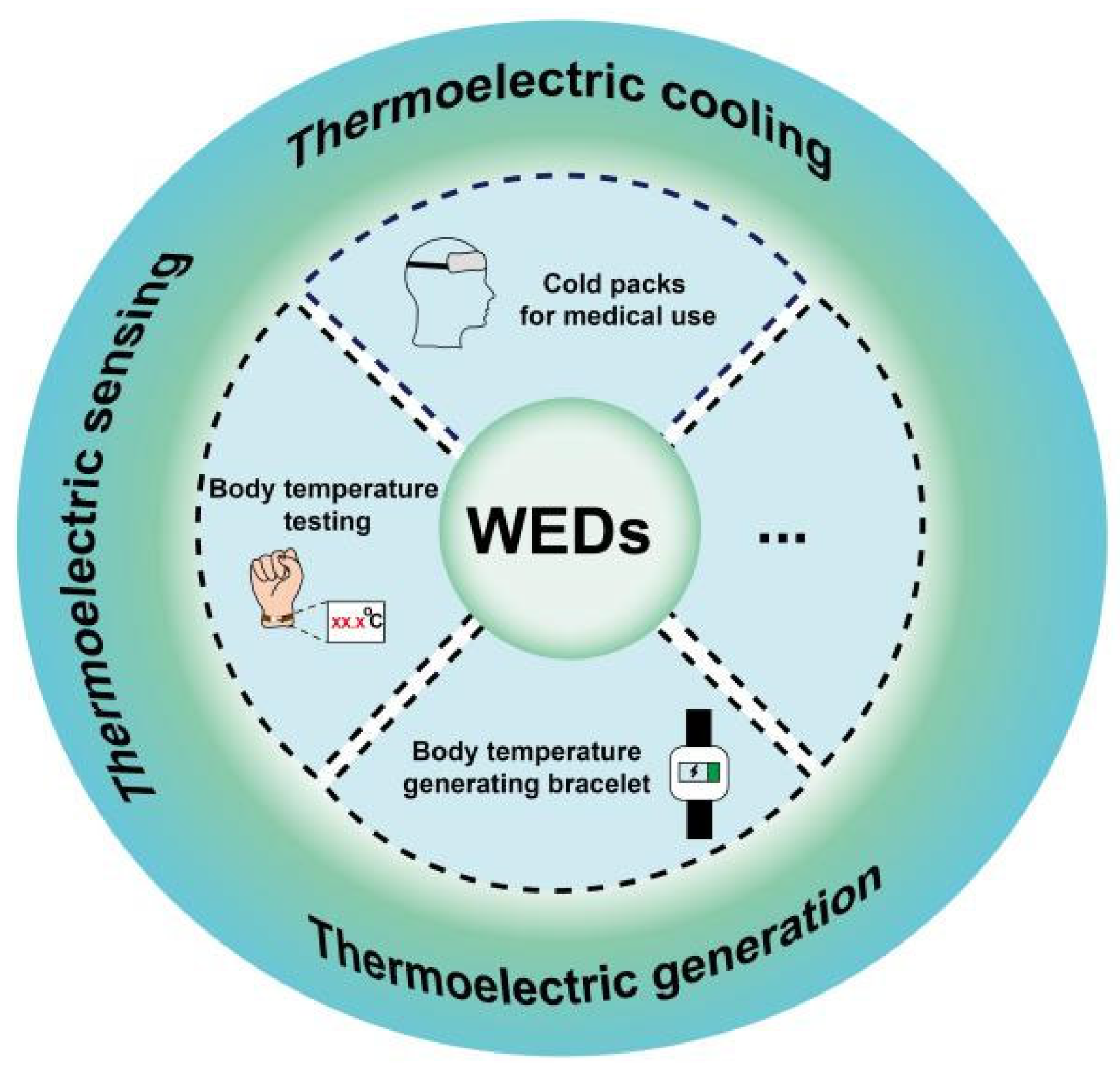 Sensors 24 04600 g001
