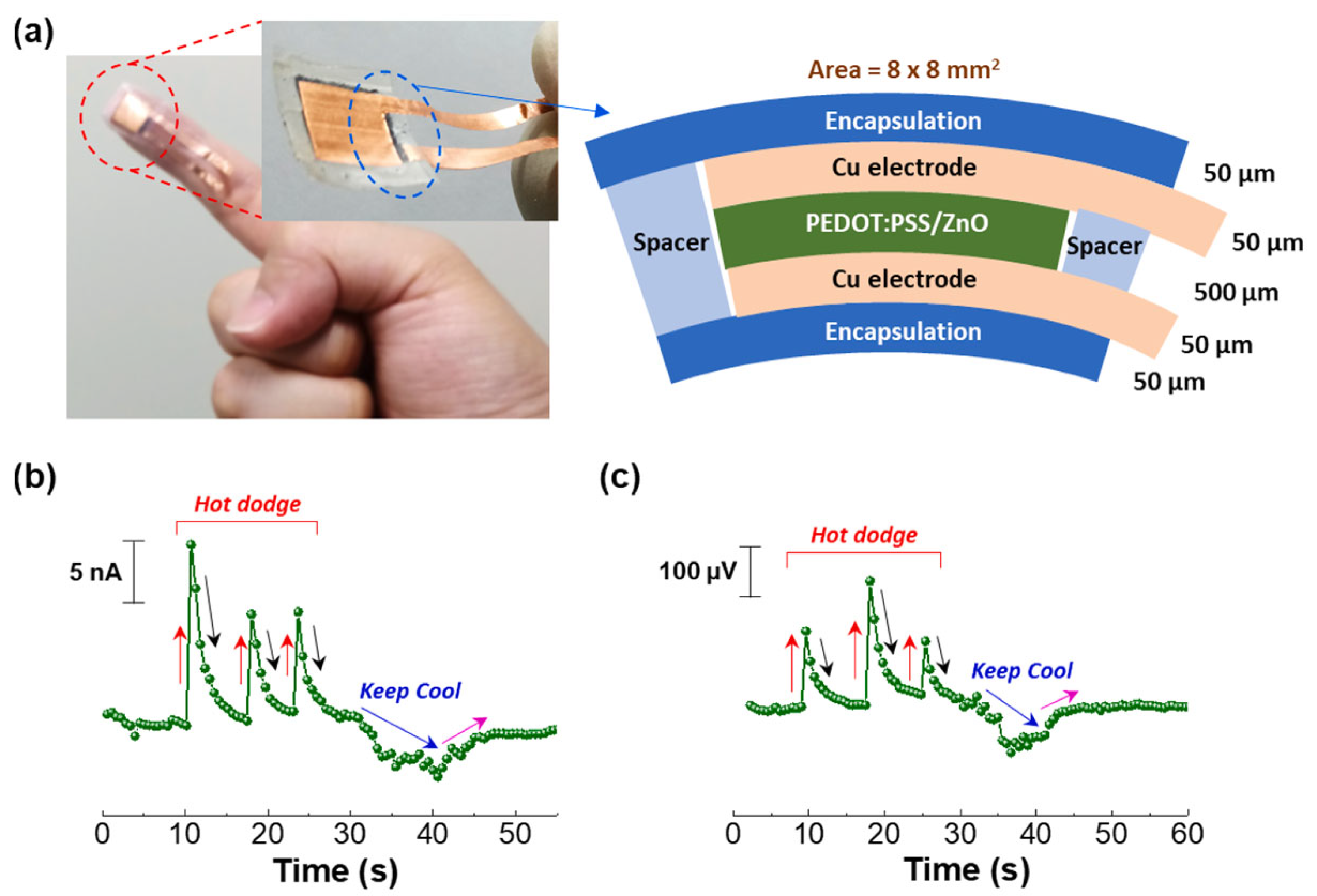 Sensors 24 04600 g010