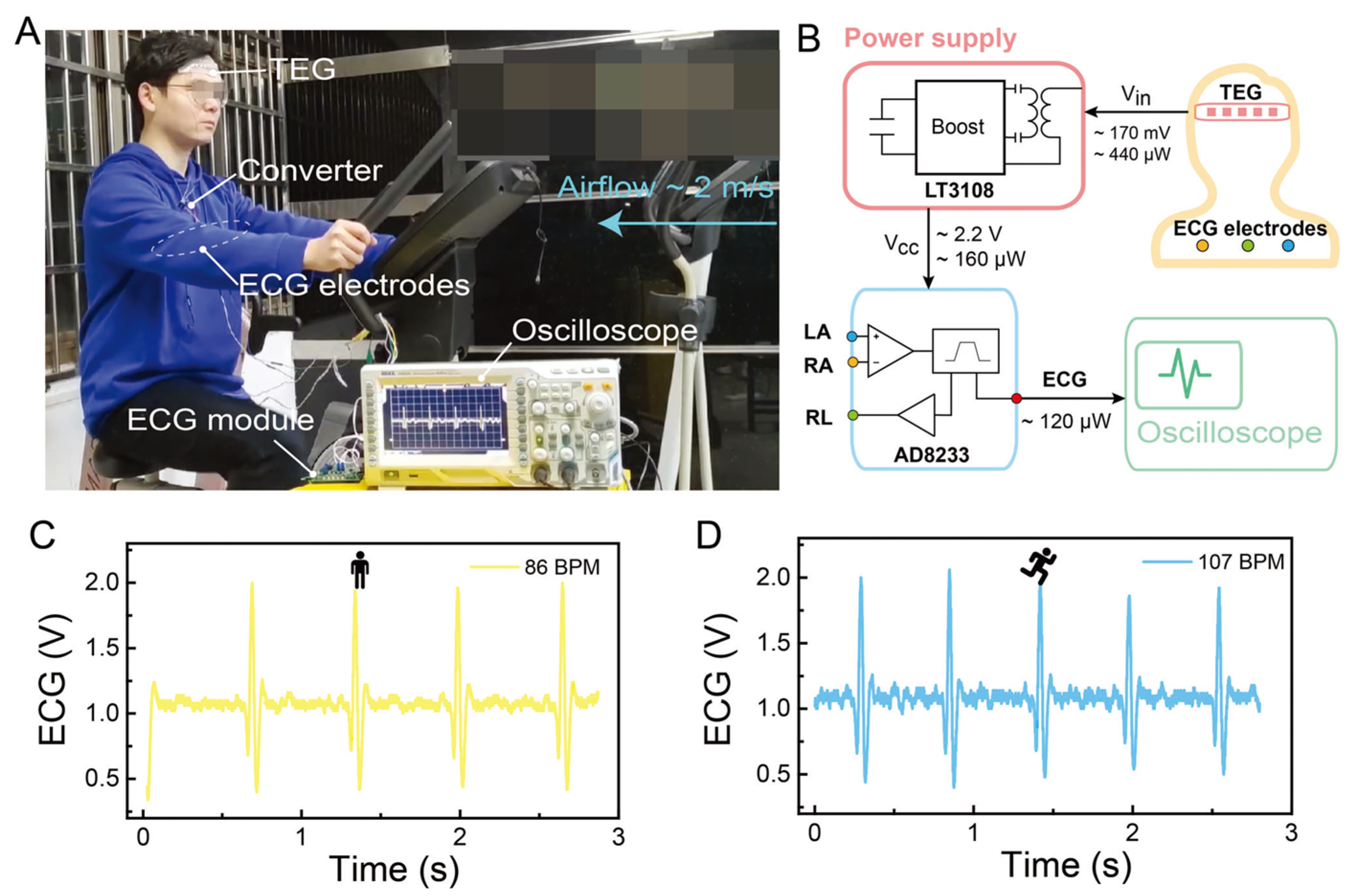 Sensors 24 04600 g037