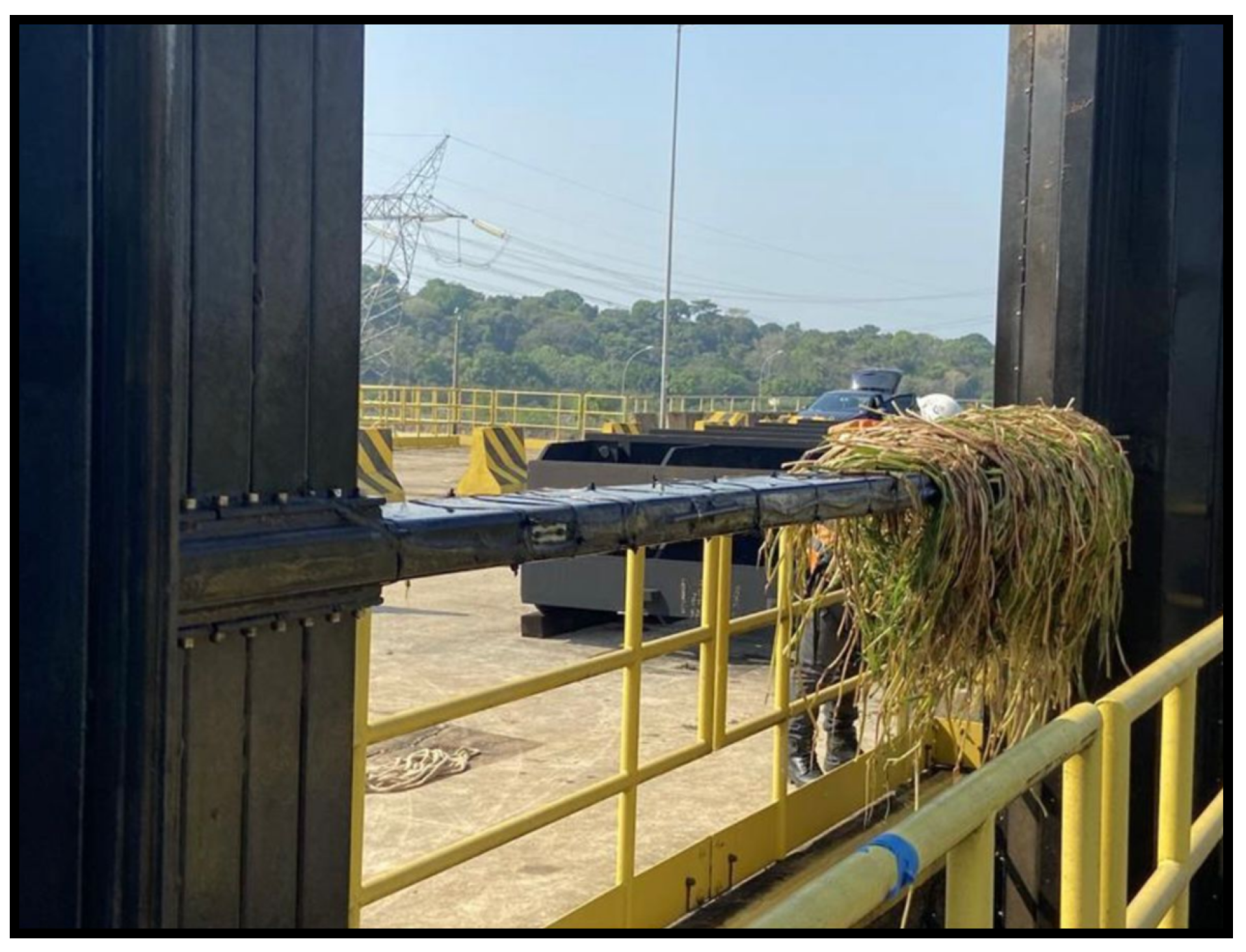 Sensors 24 04601 g011