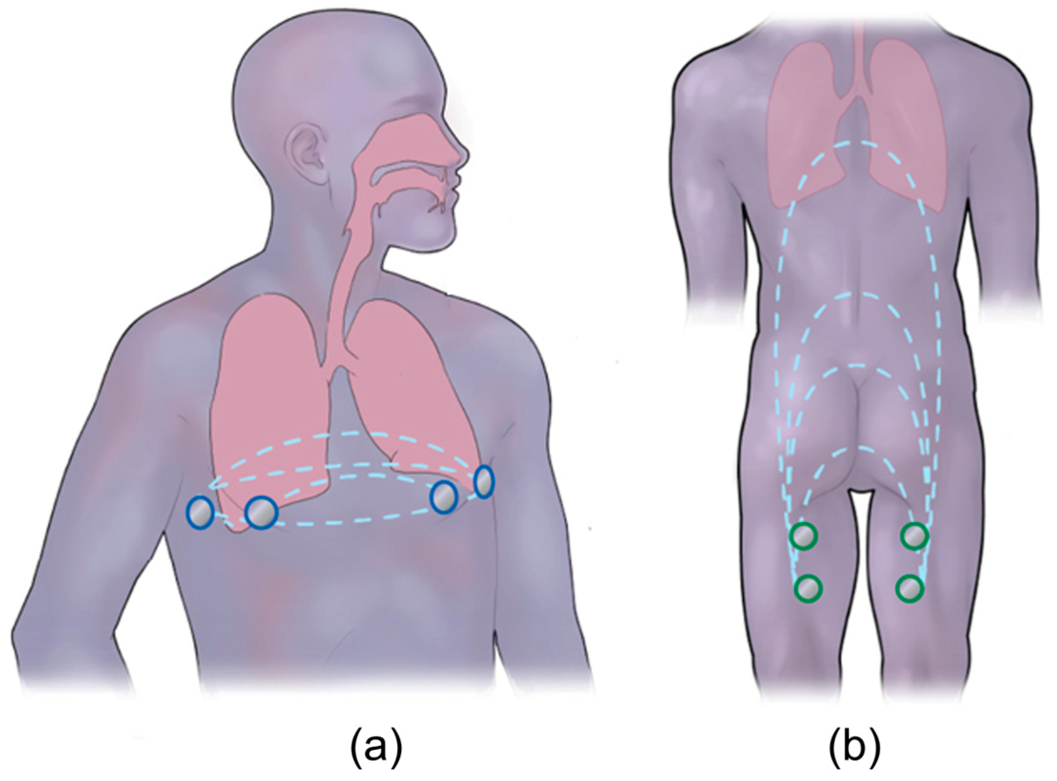 Sensors 24 04612 g001