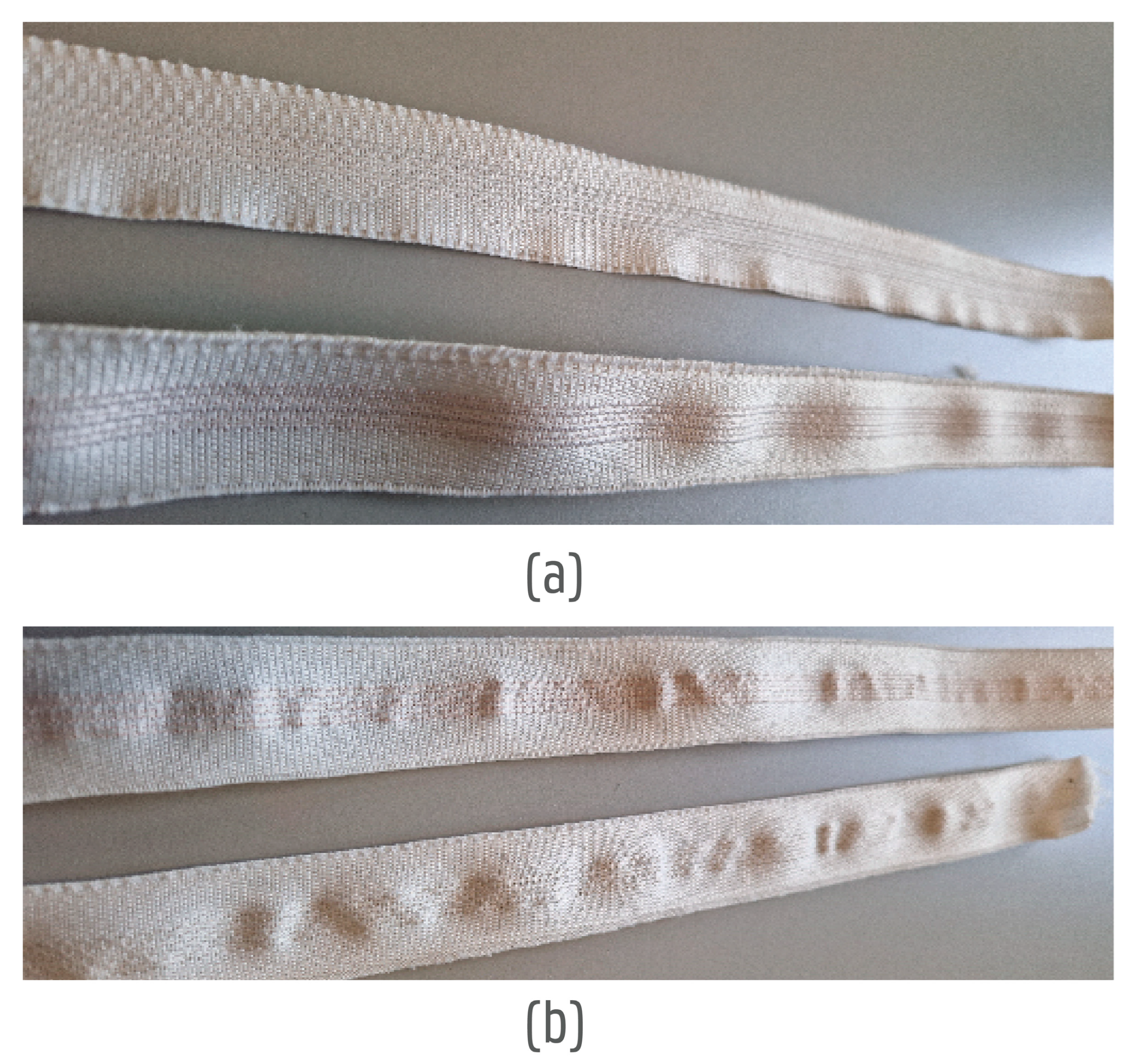 Sensors 24 04624 g009