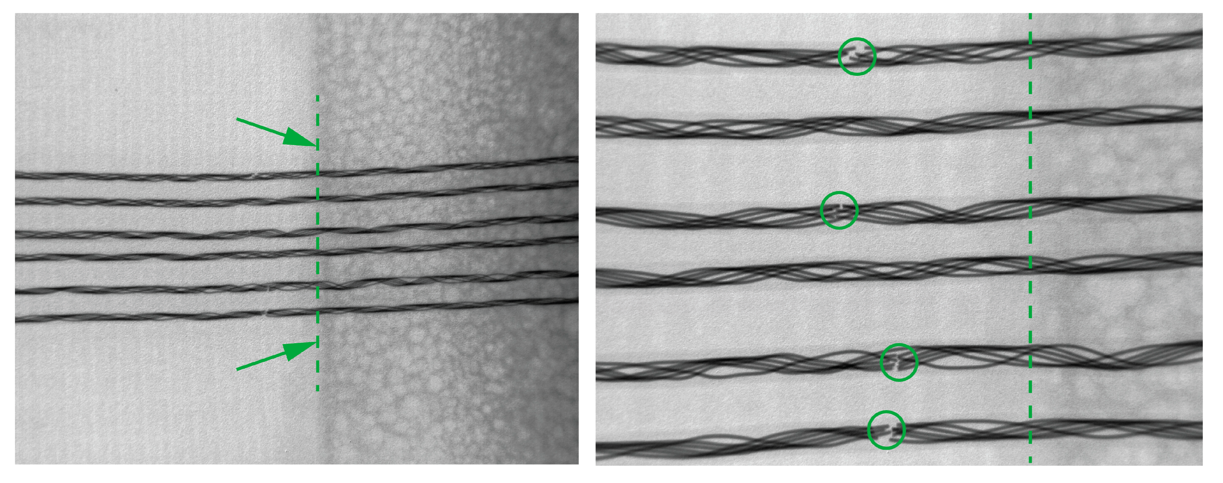 Sensors 24 04624 g010