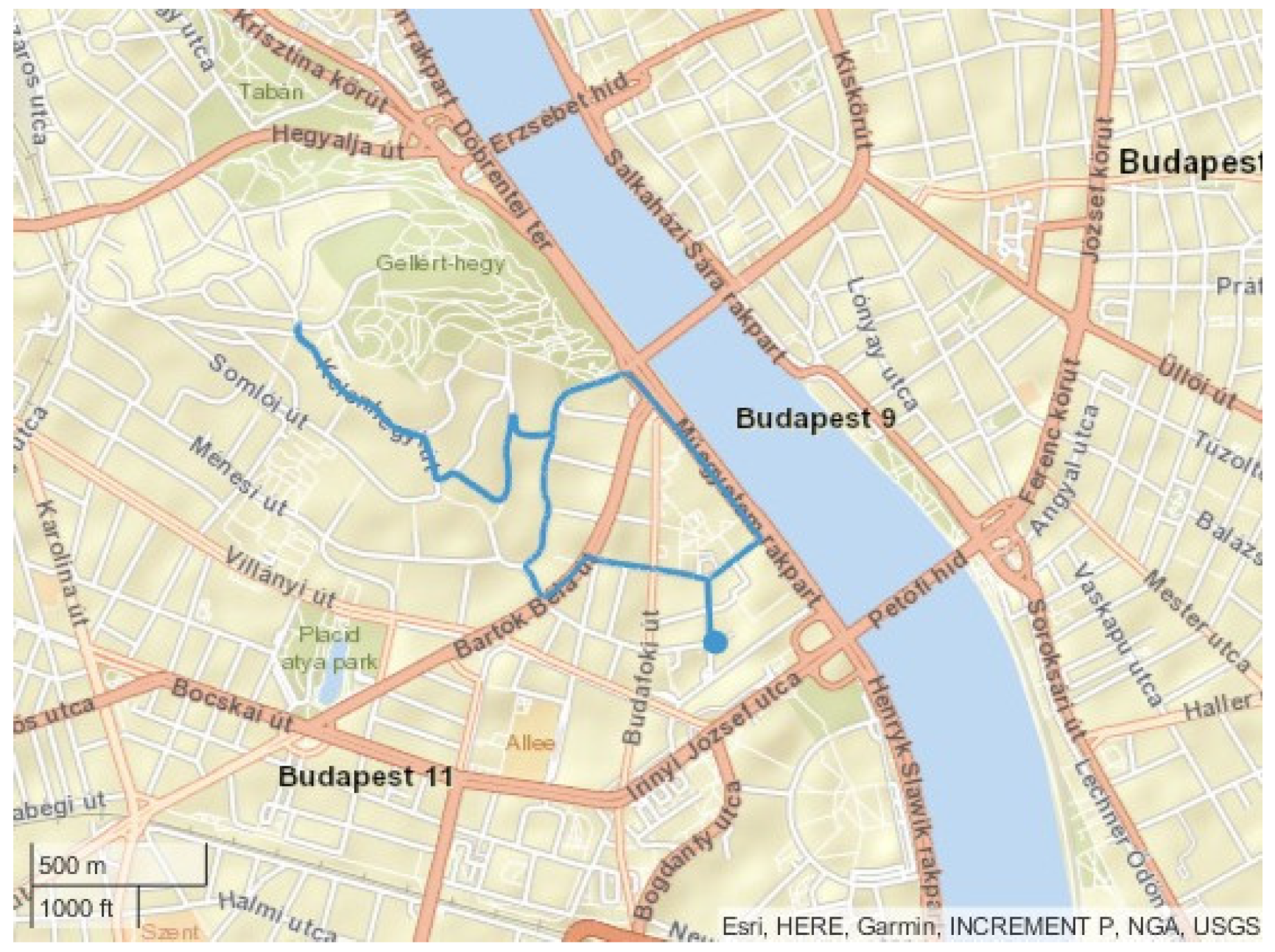 Sensors 24 04637 g004