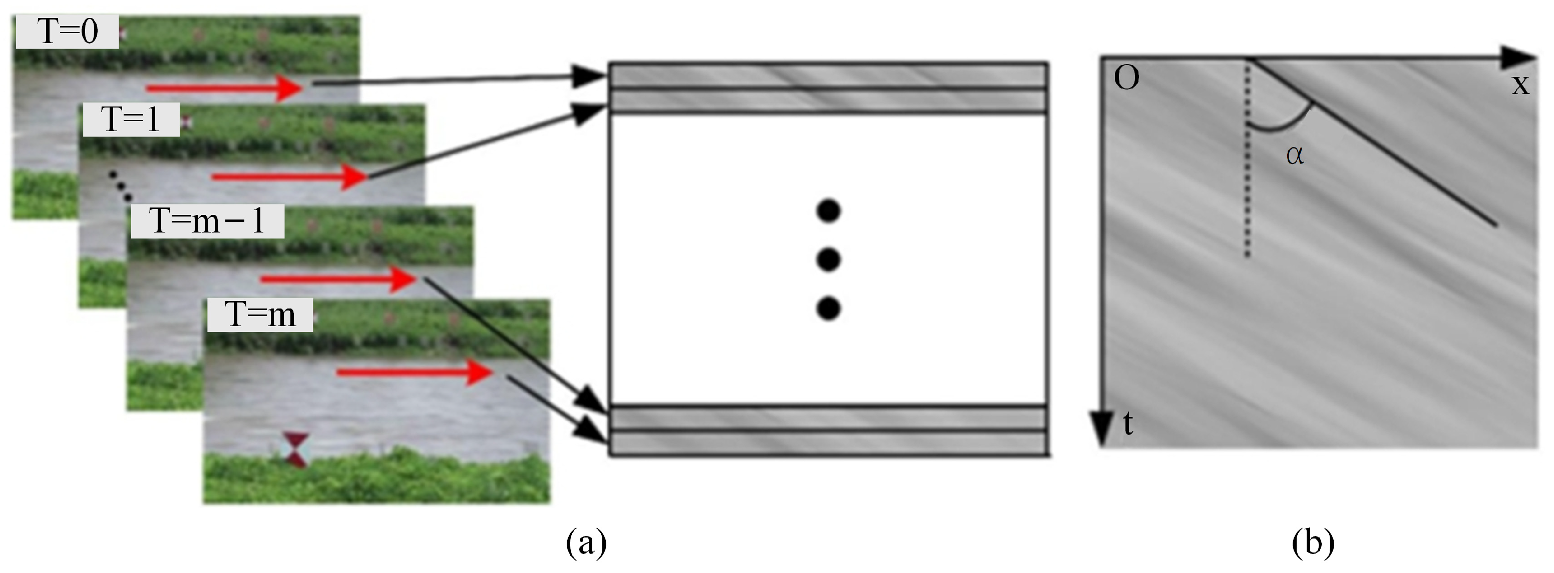 Sensors 24 04655 g007