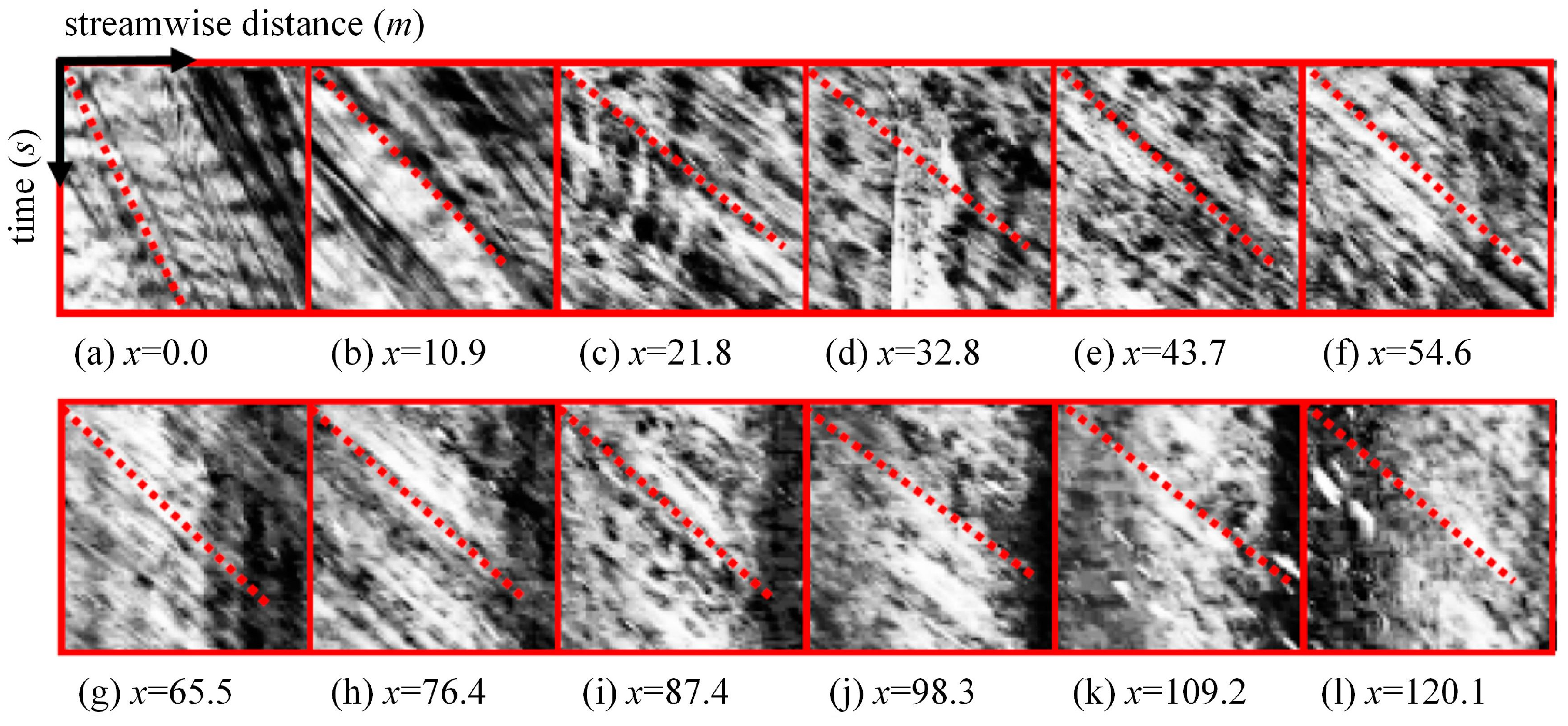 Sensors 24 04655 g010