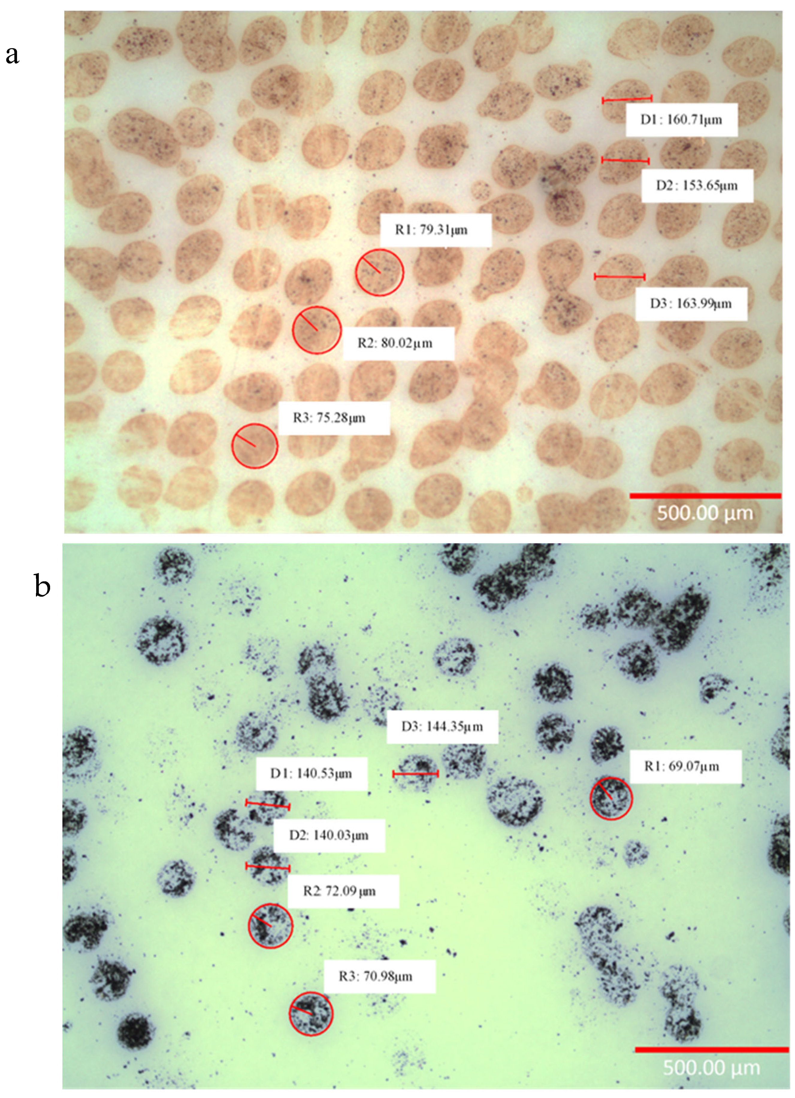Sensors 24 04657 g006