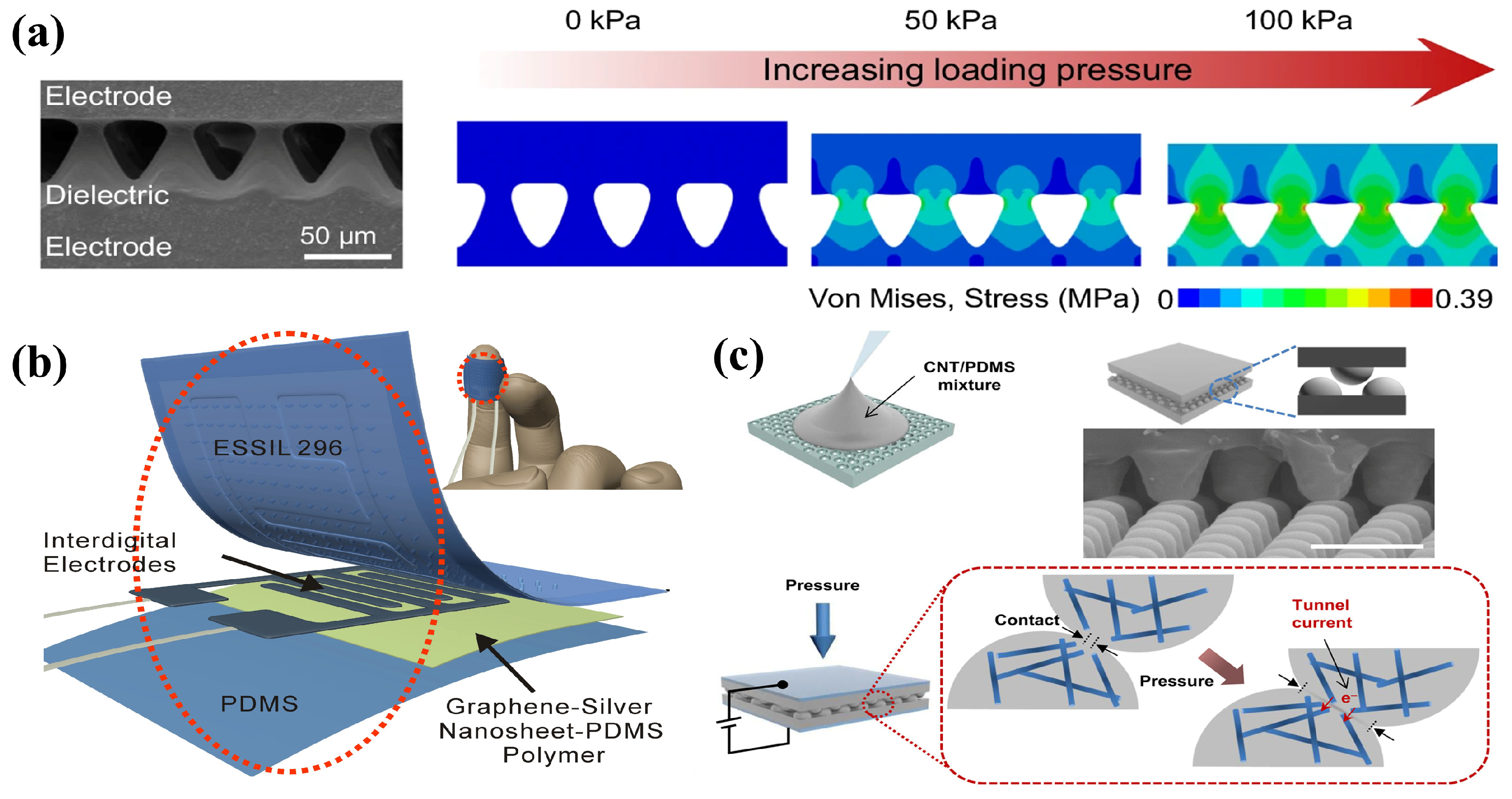 Sensors 24 04664 g006
