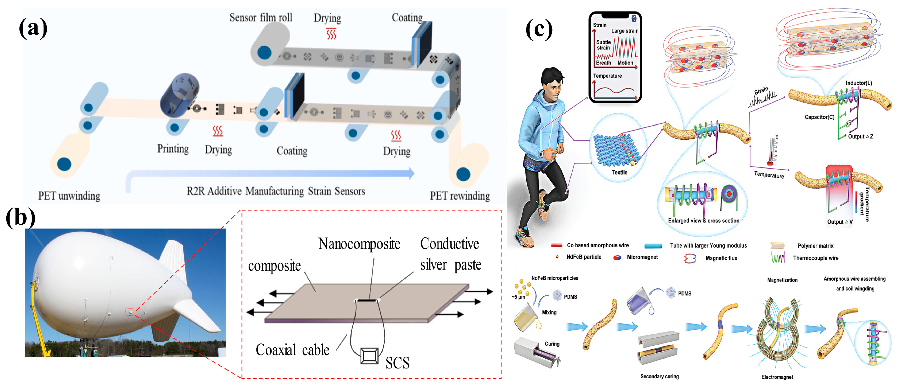 Sensors 24 04664 g007