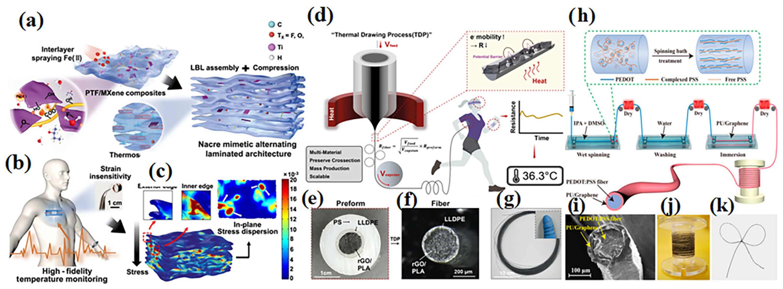 Sensors 24 04664 g008