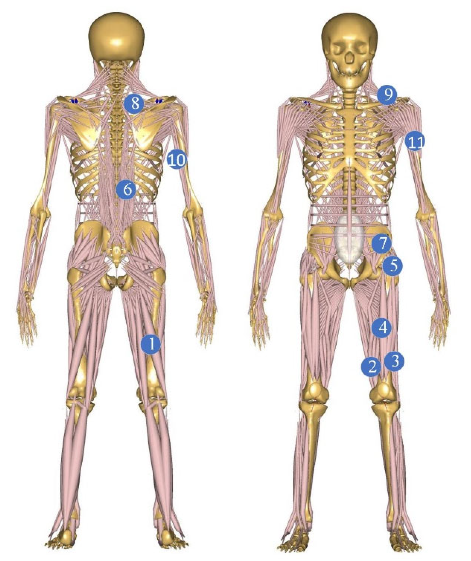 Sensors 24 04673 g001