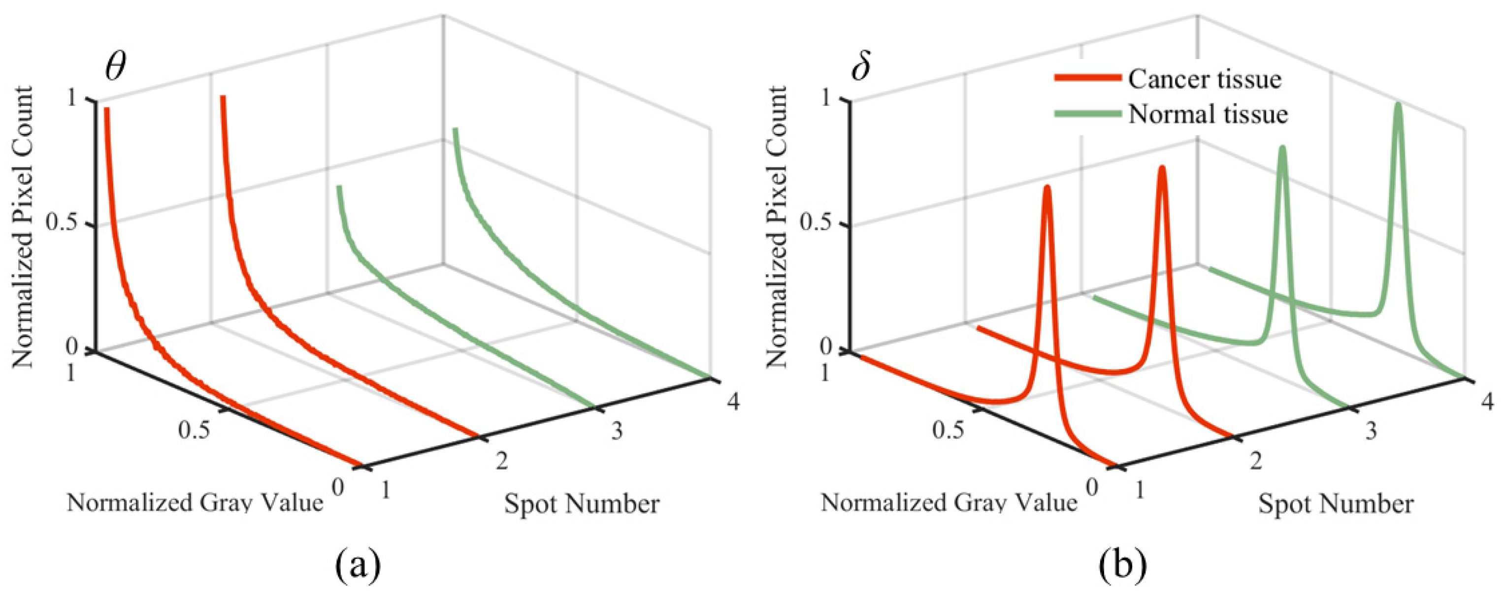 Sensors 24 04703 g005