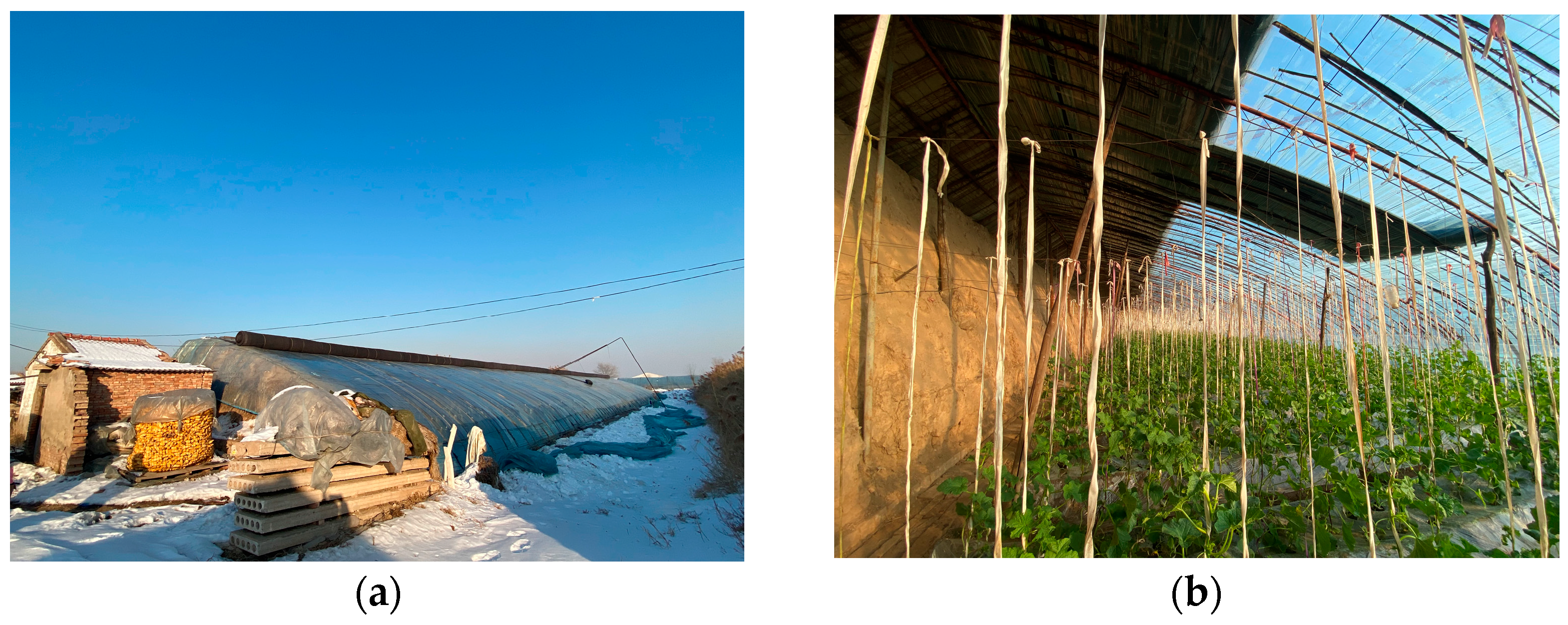 Sensors 24 04730 g001