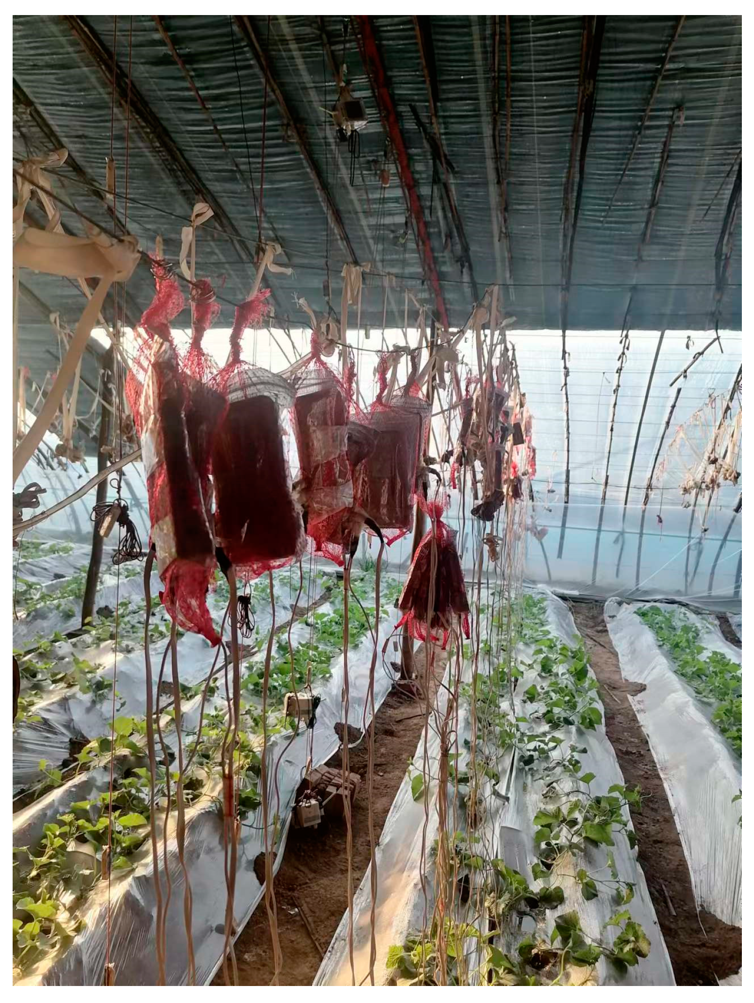 Sensors 24 04730 g003