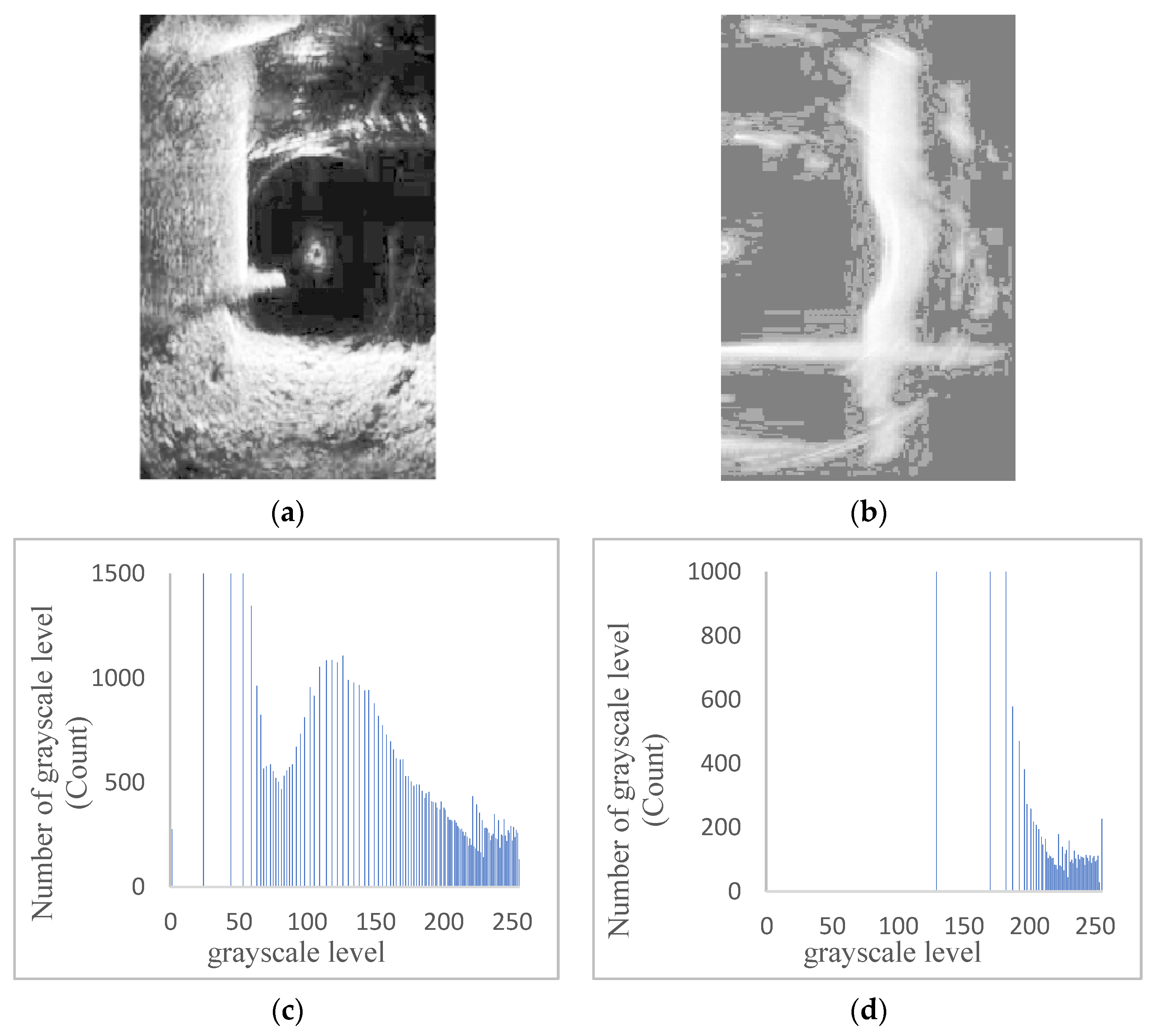Sensors 24 04732 g009