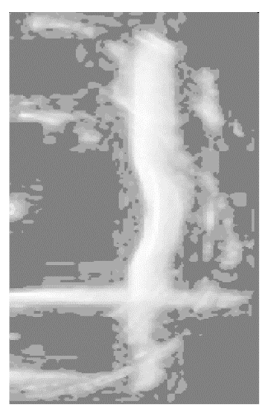 Sensors 24 04732 g010