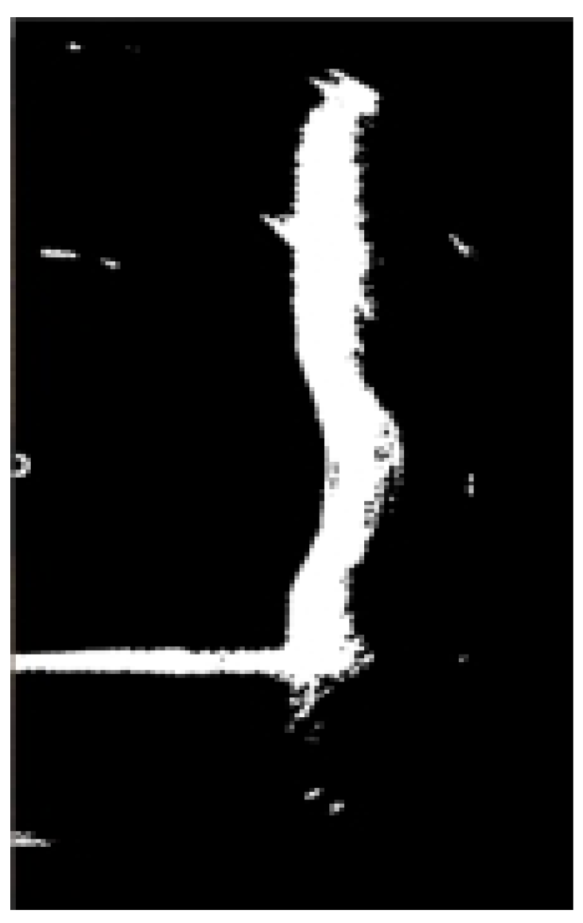 Sensors 24 04732 g011