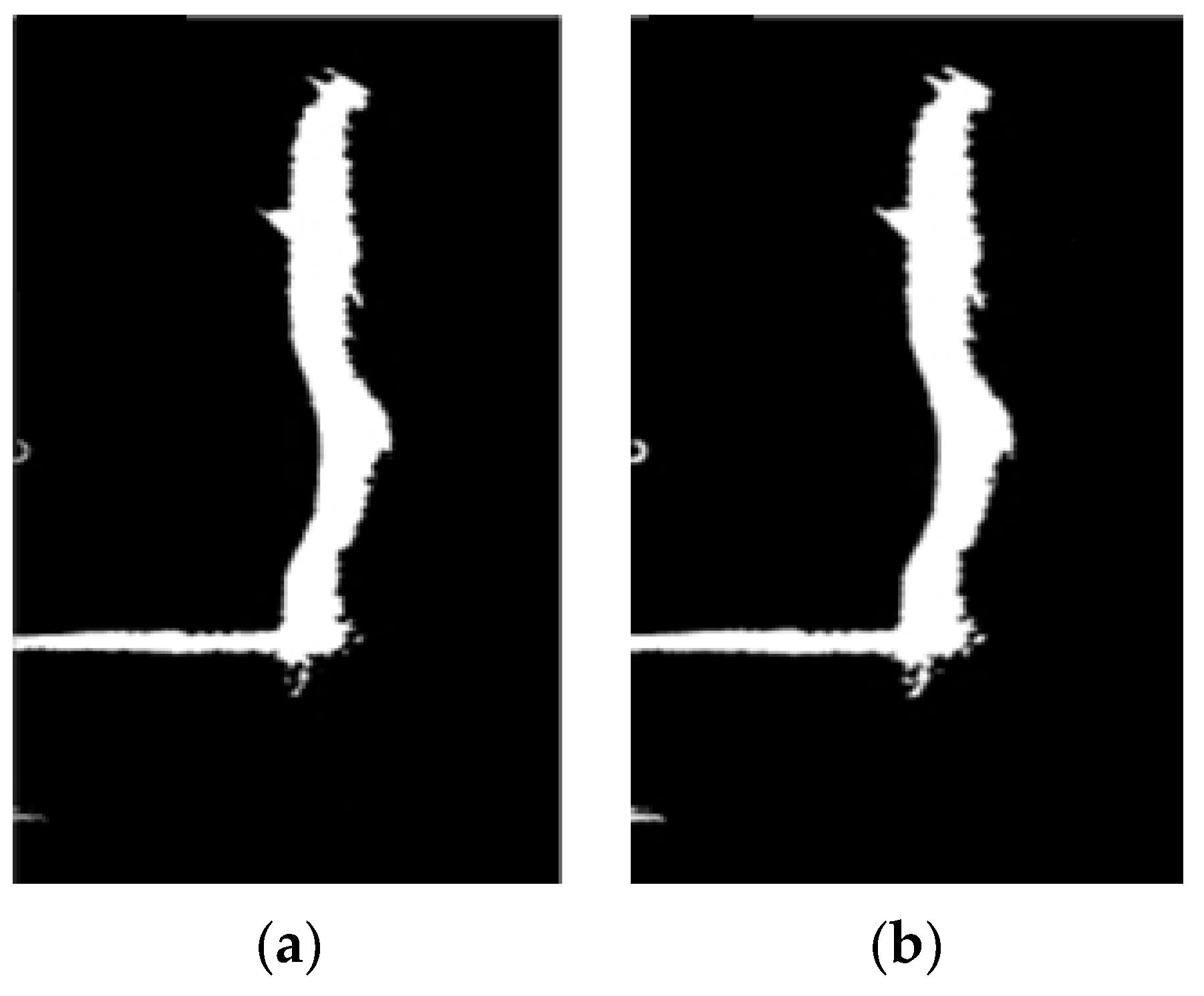 Sensors 24 04732 g013