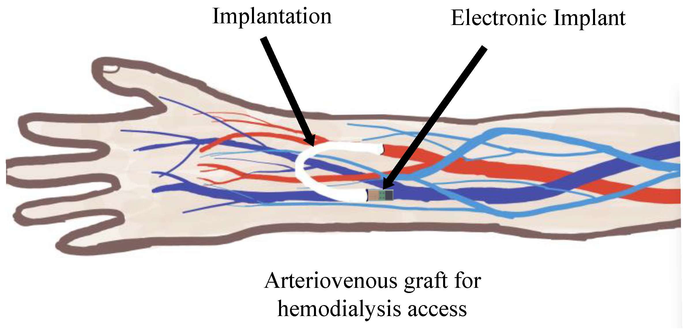 Sensors 24 04743 g001