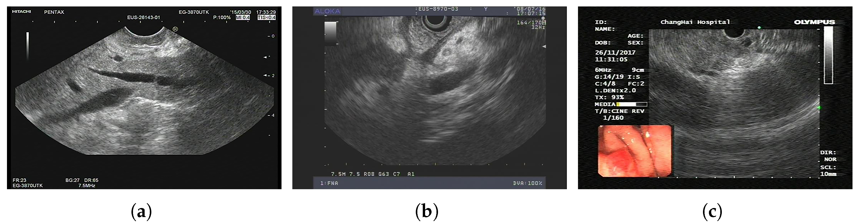 Sensors 24 04749 g004