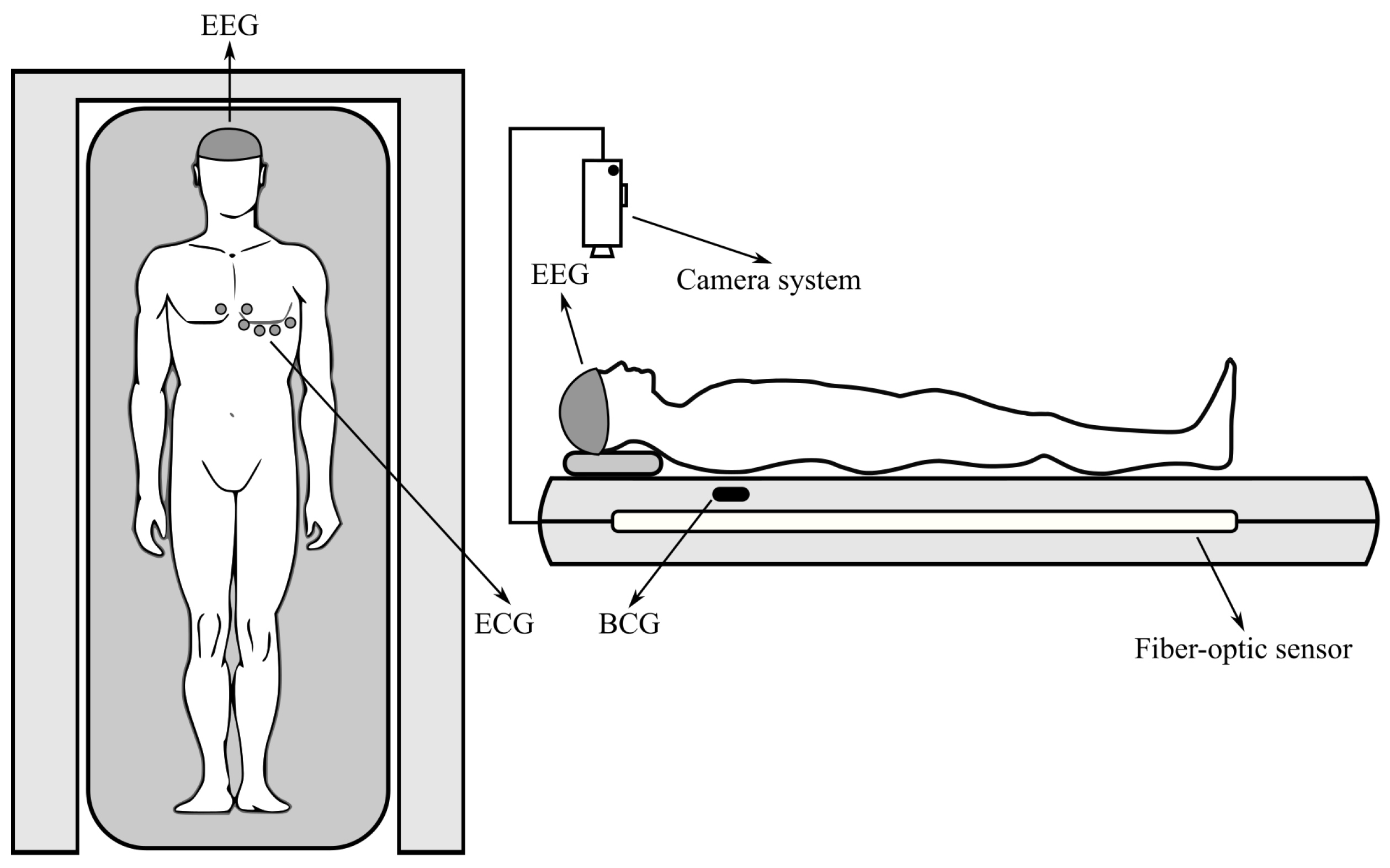Sensors 24 04767 g001