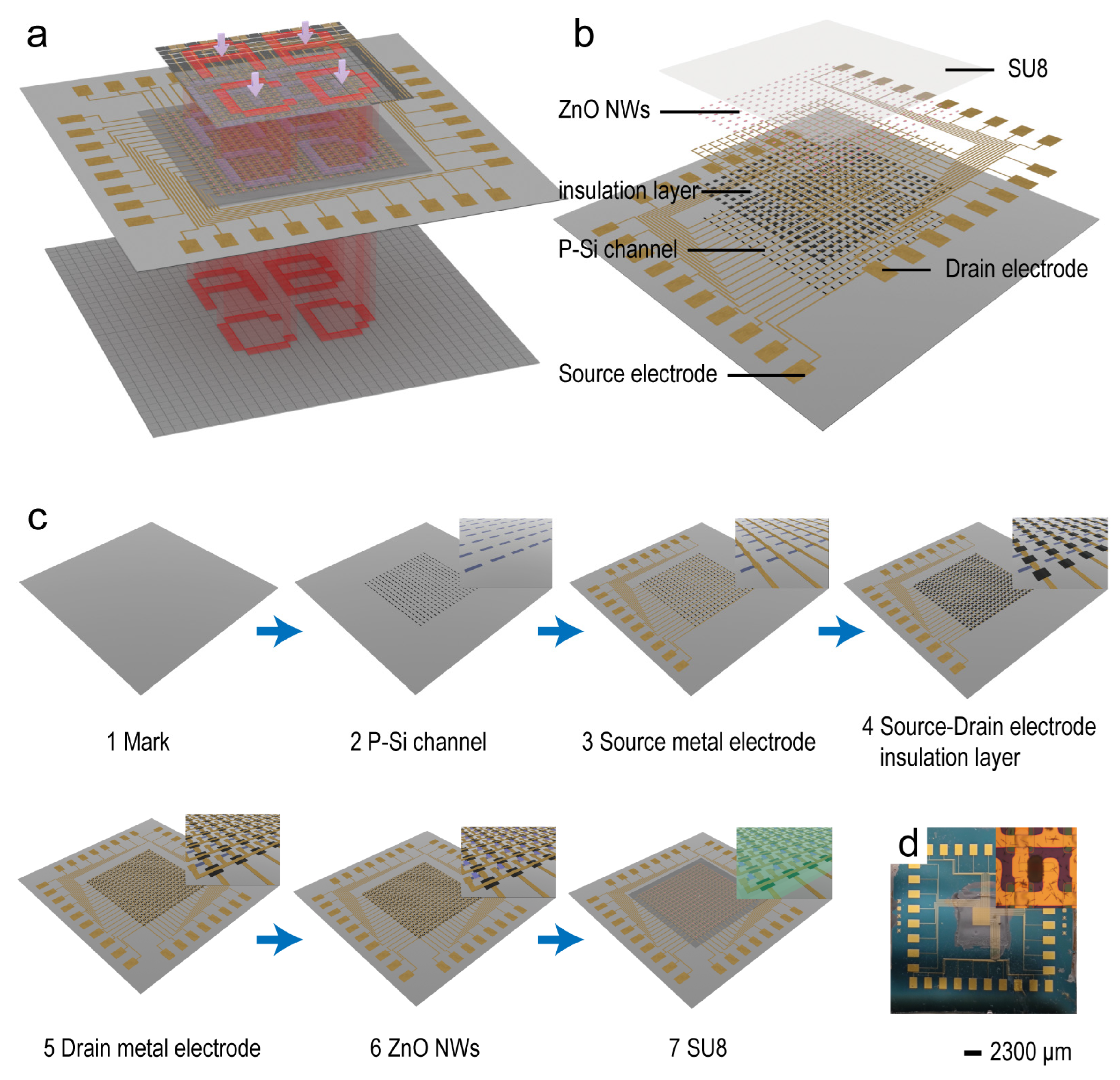 Sensors 24 04775 g002
