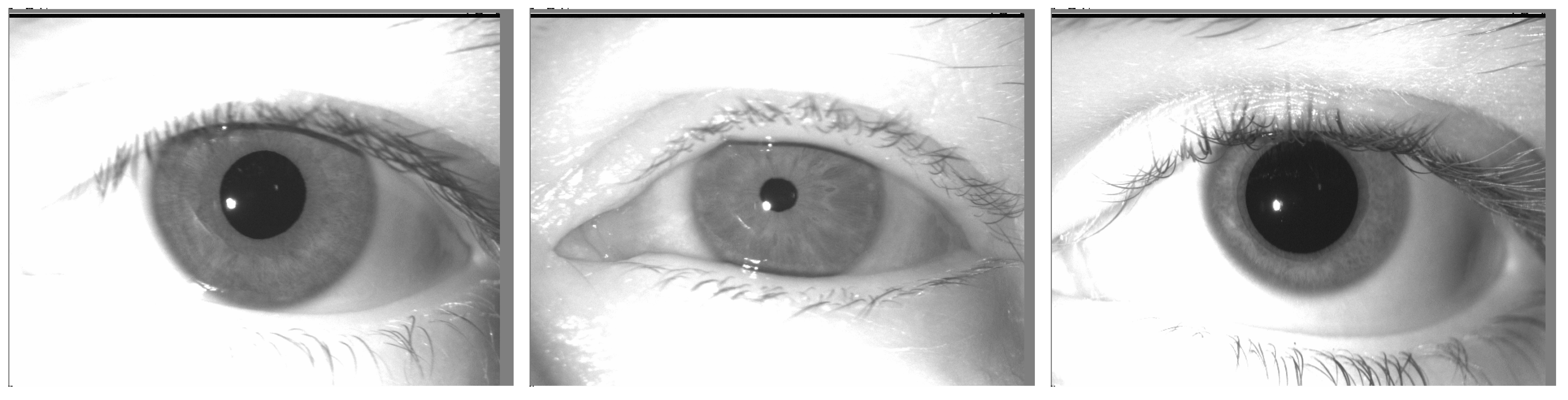 Sensors 24 04805 g002