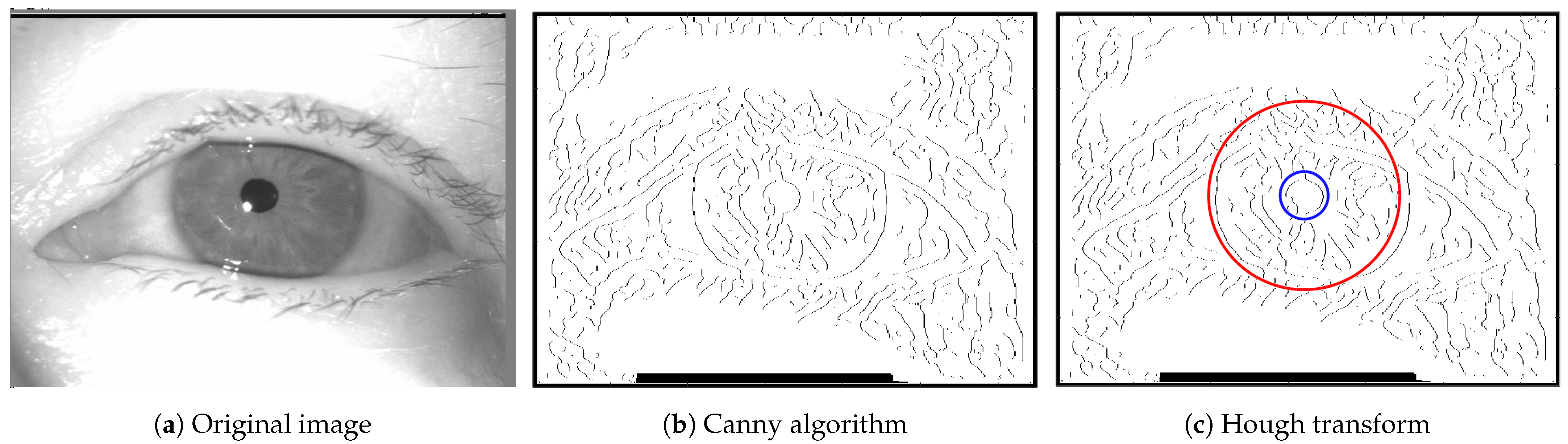 Sensors 24 04805 g003