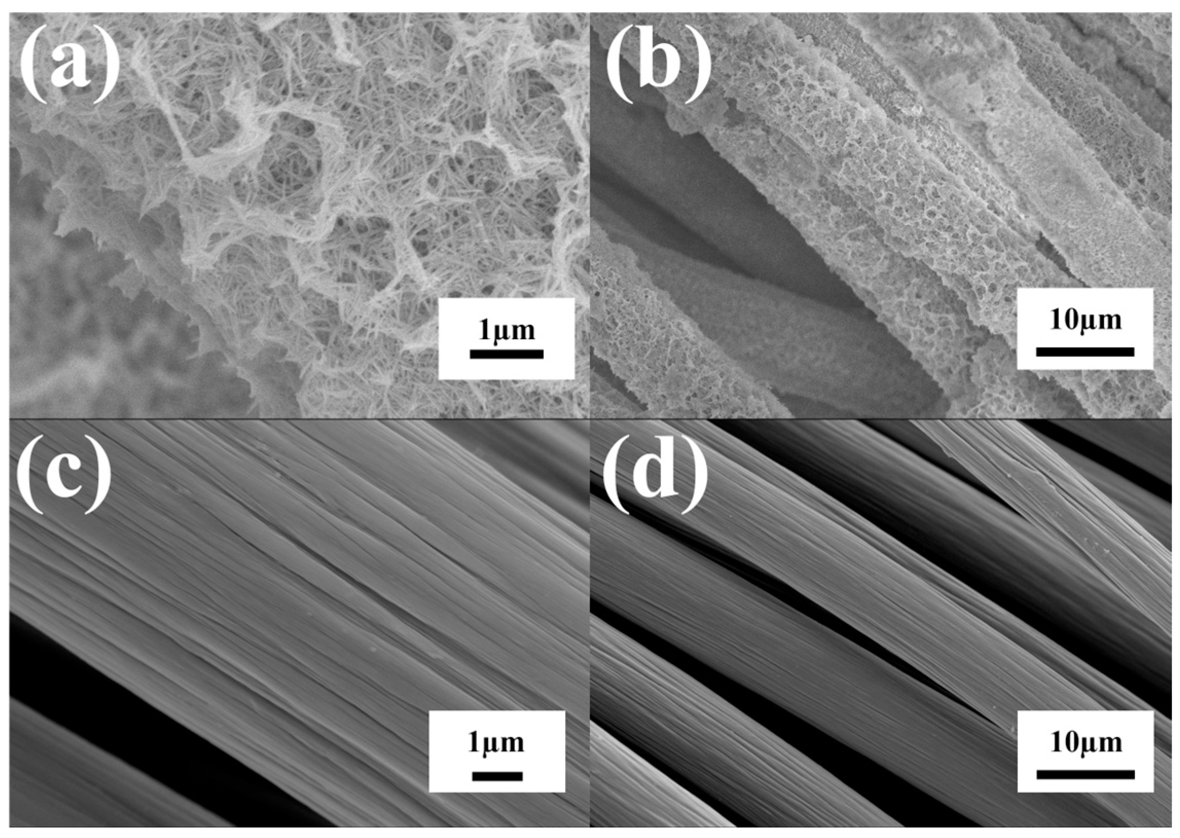Sensors 24 04824 g001