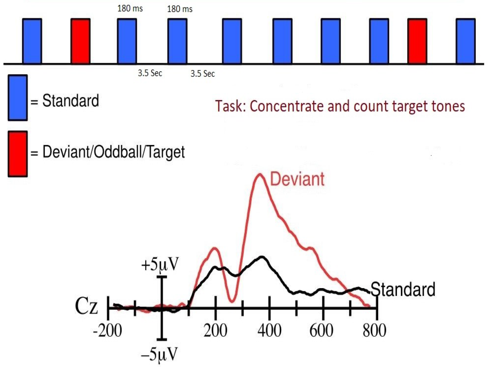 Sensors 24 04829 g001 Sensors 24 04829 g001