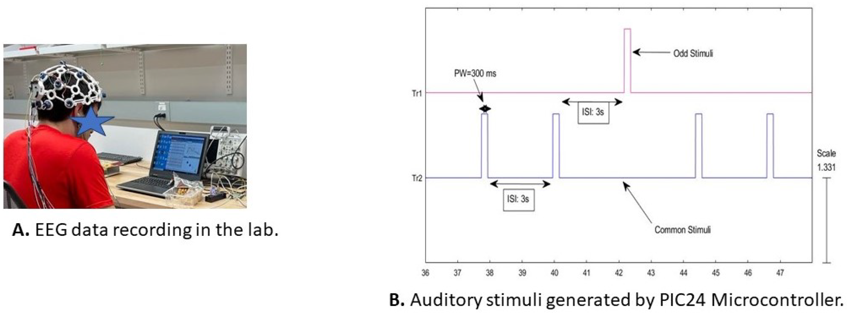 Sensors 24 04829 g004 Sensors 24 04829 g004