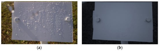 Sensors 24 04836 g004