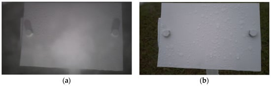 Sensors 24 04836 g005