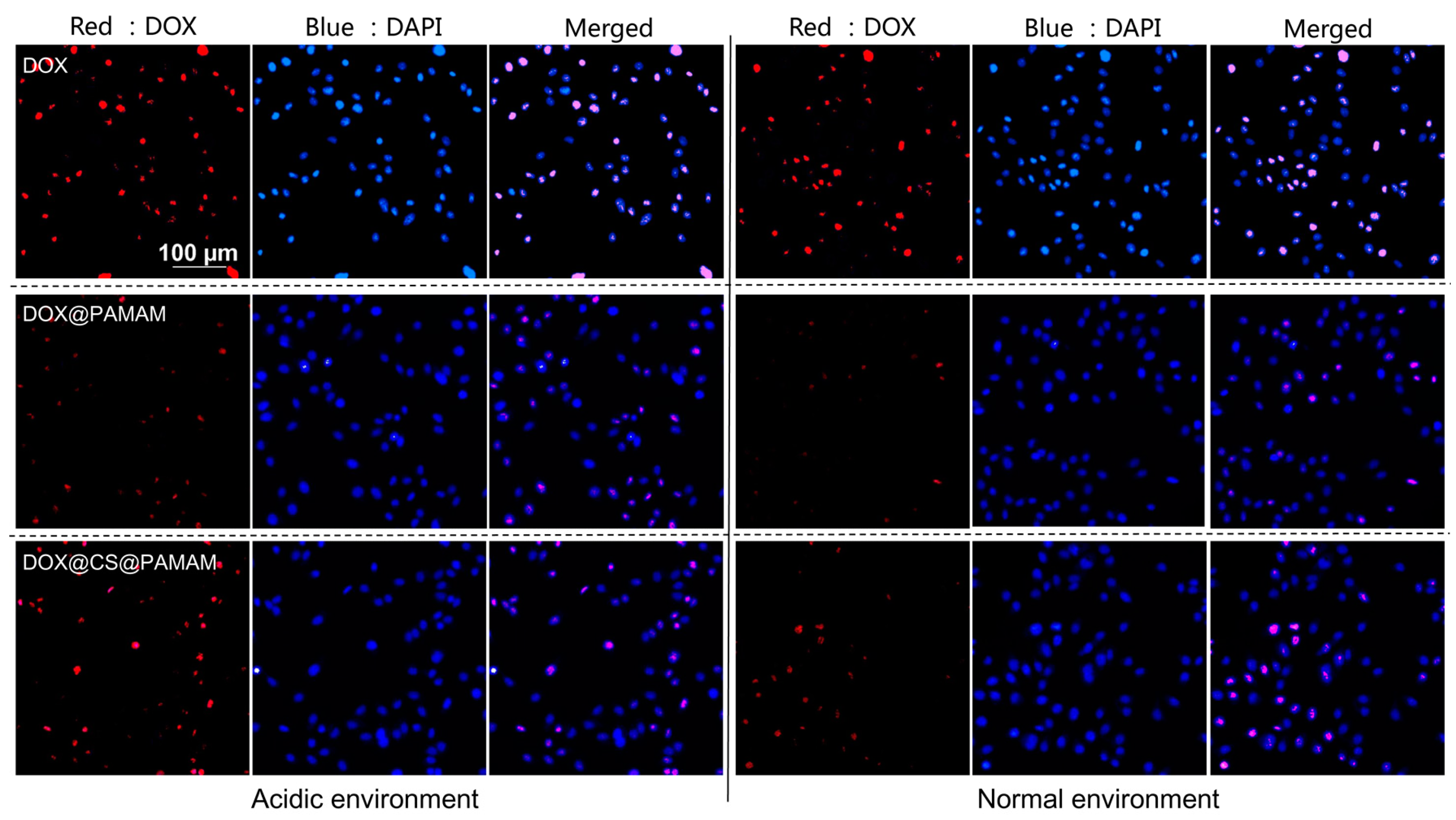 Sensors 24 04853 g007