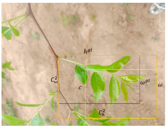 Sensors 24 04856 g007