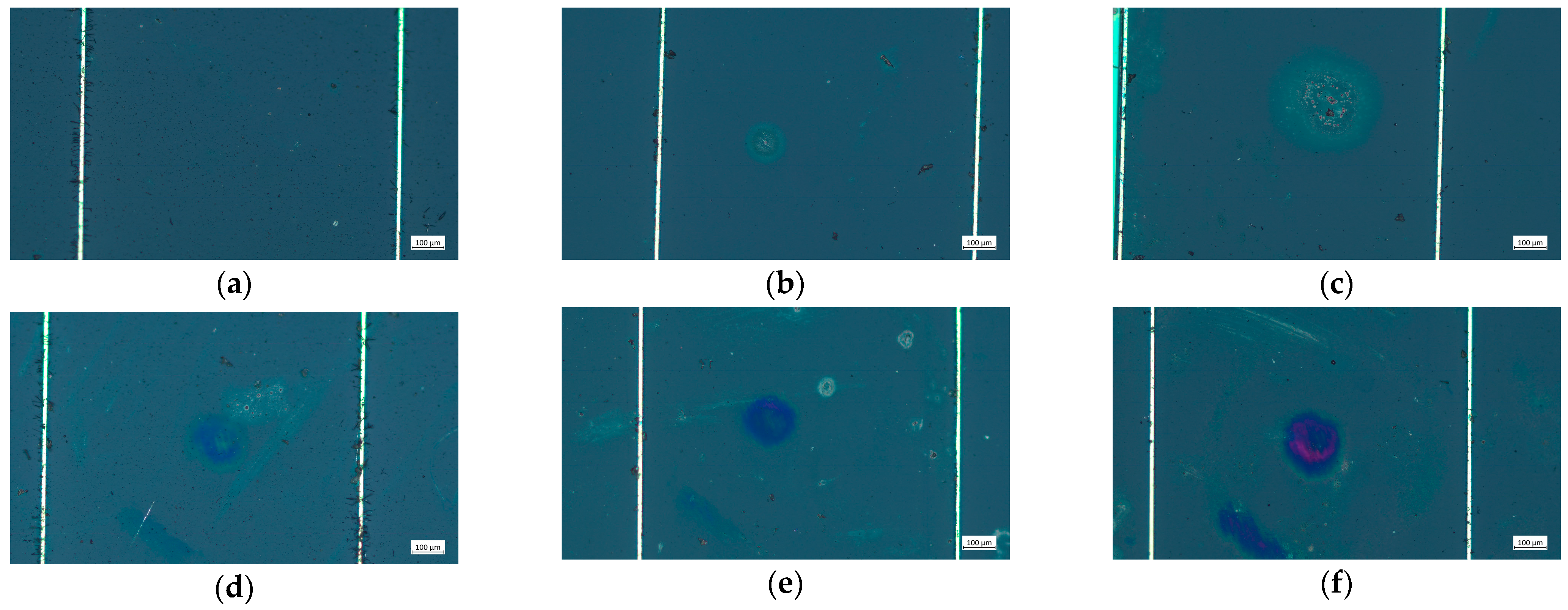 Sensors 24 04886 g005