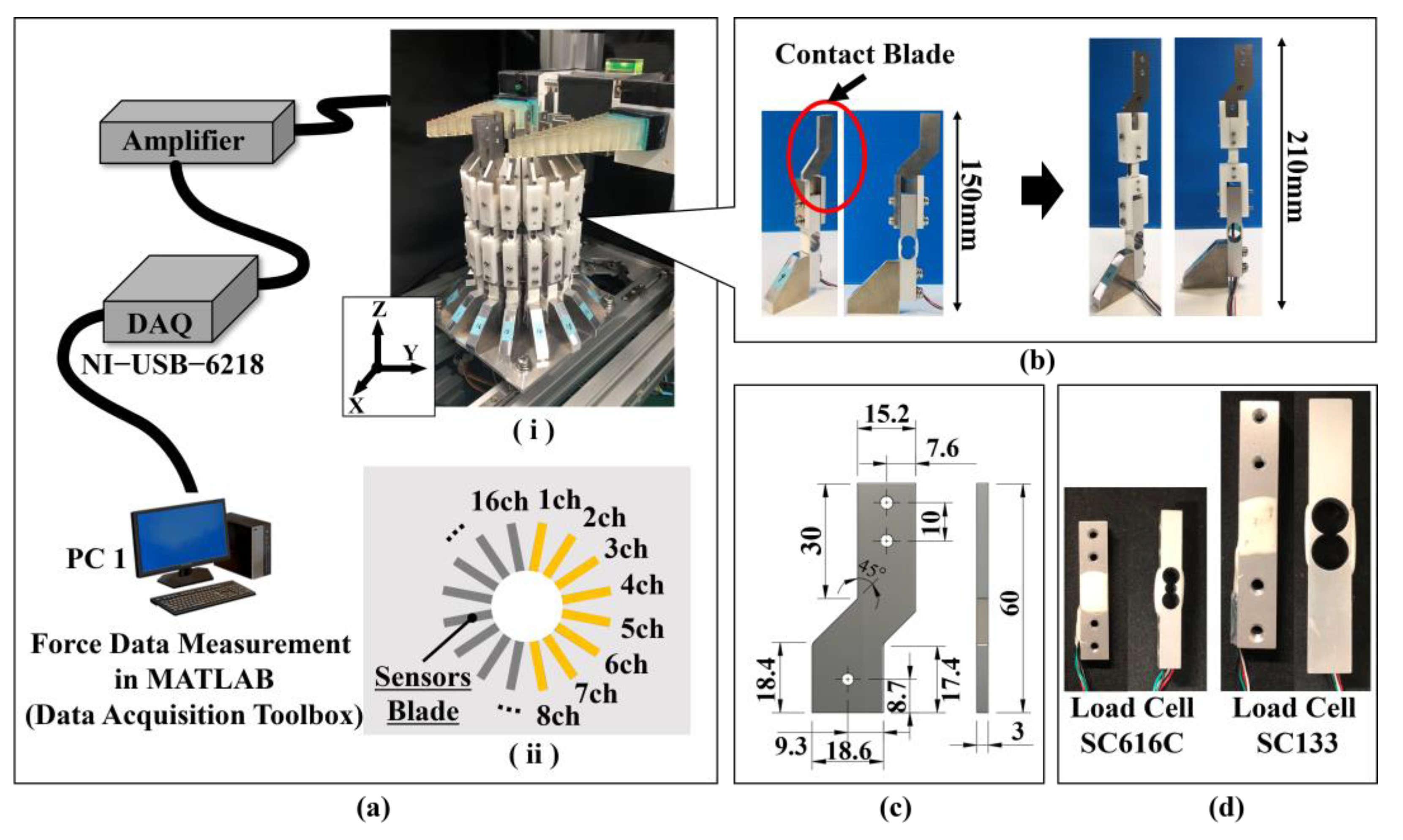 Sensors 24 04896 g002