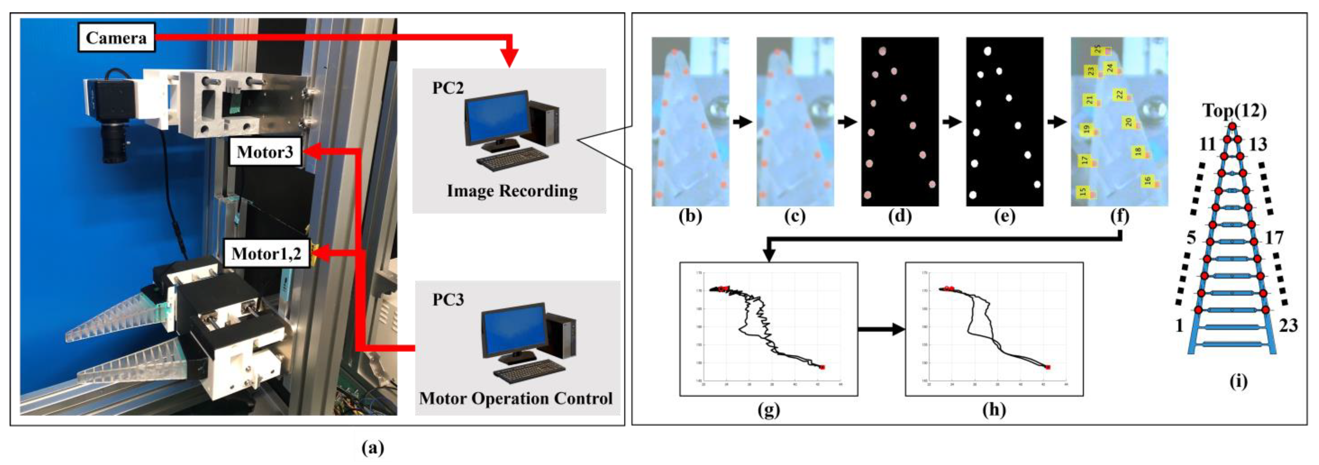Sensors 24 04896 g005