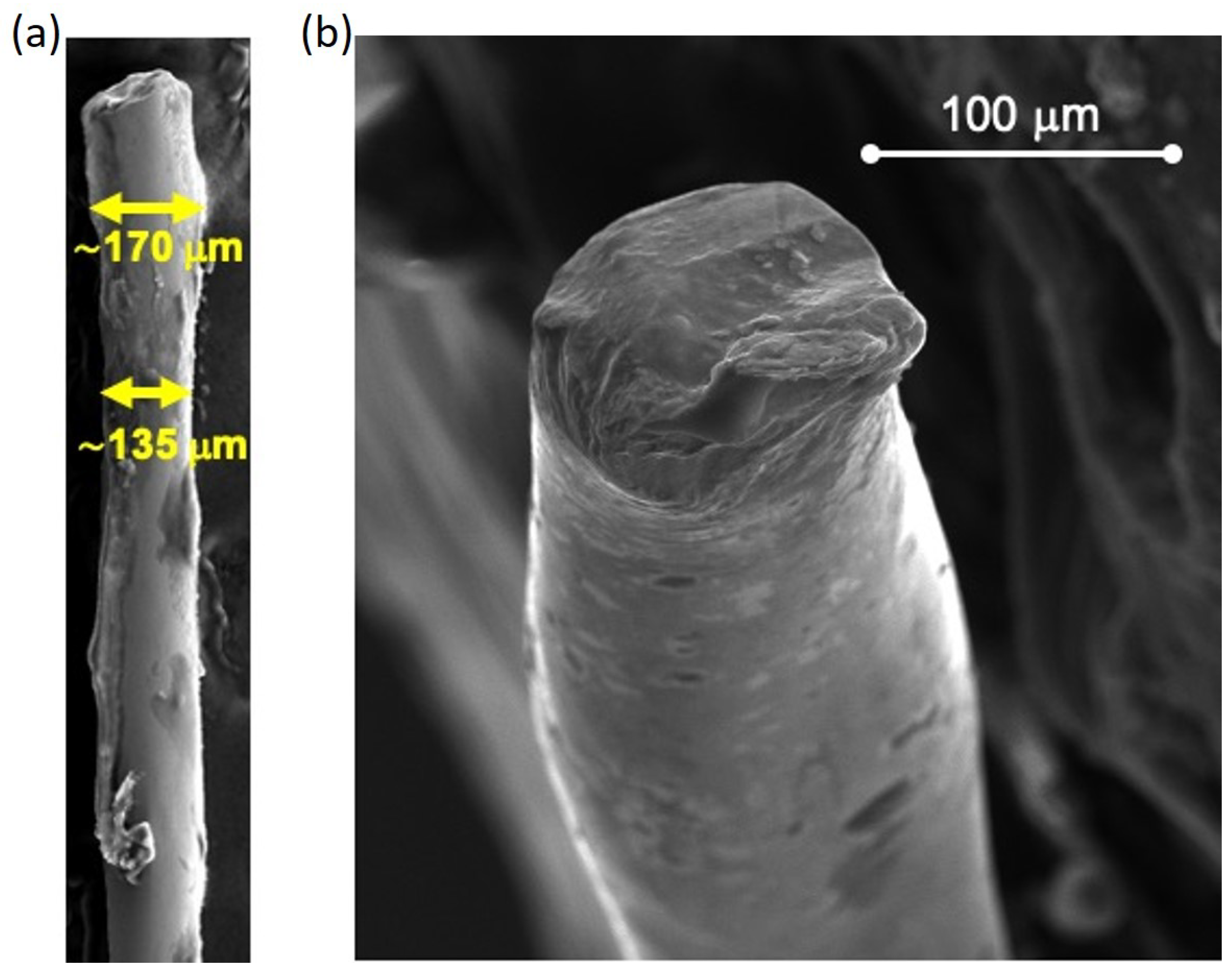 Sensors 24 04902 g003