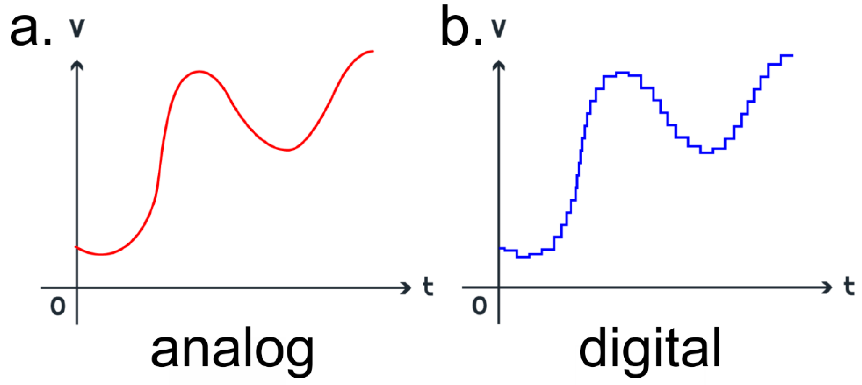 Sensors 24 04907 g001