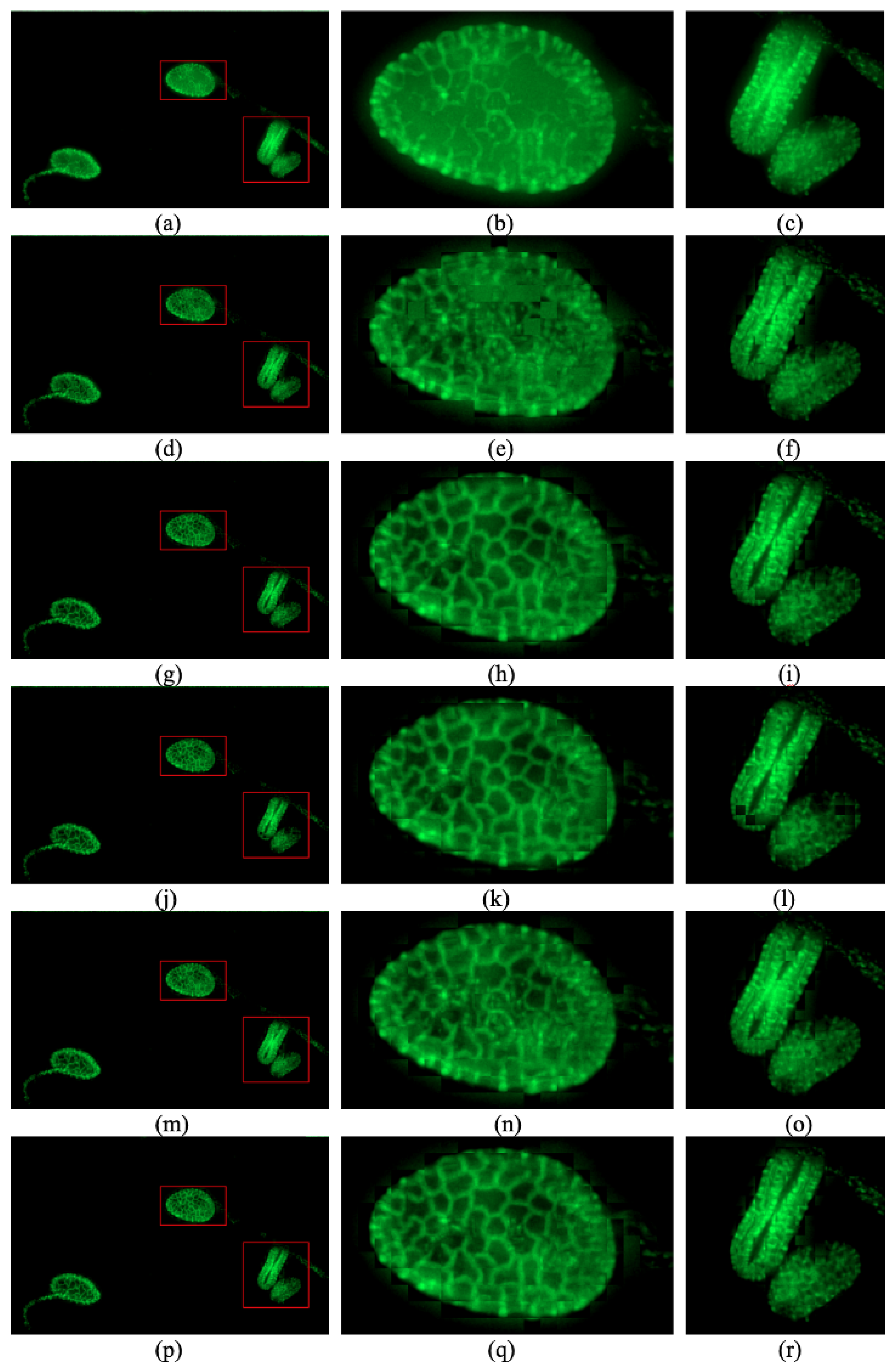 Sensors 24 04909 g002