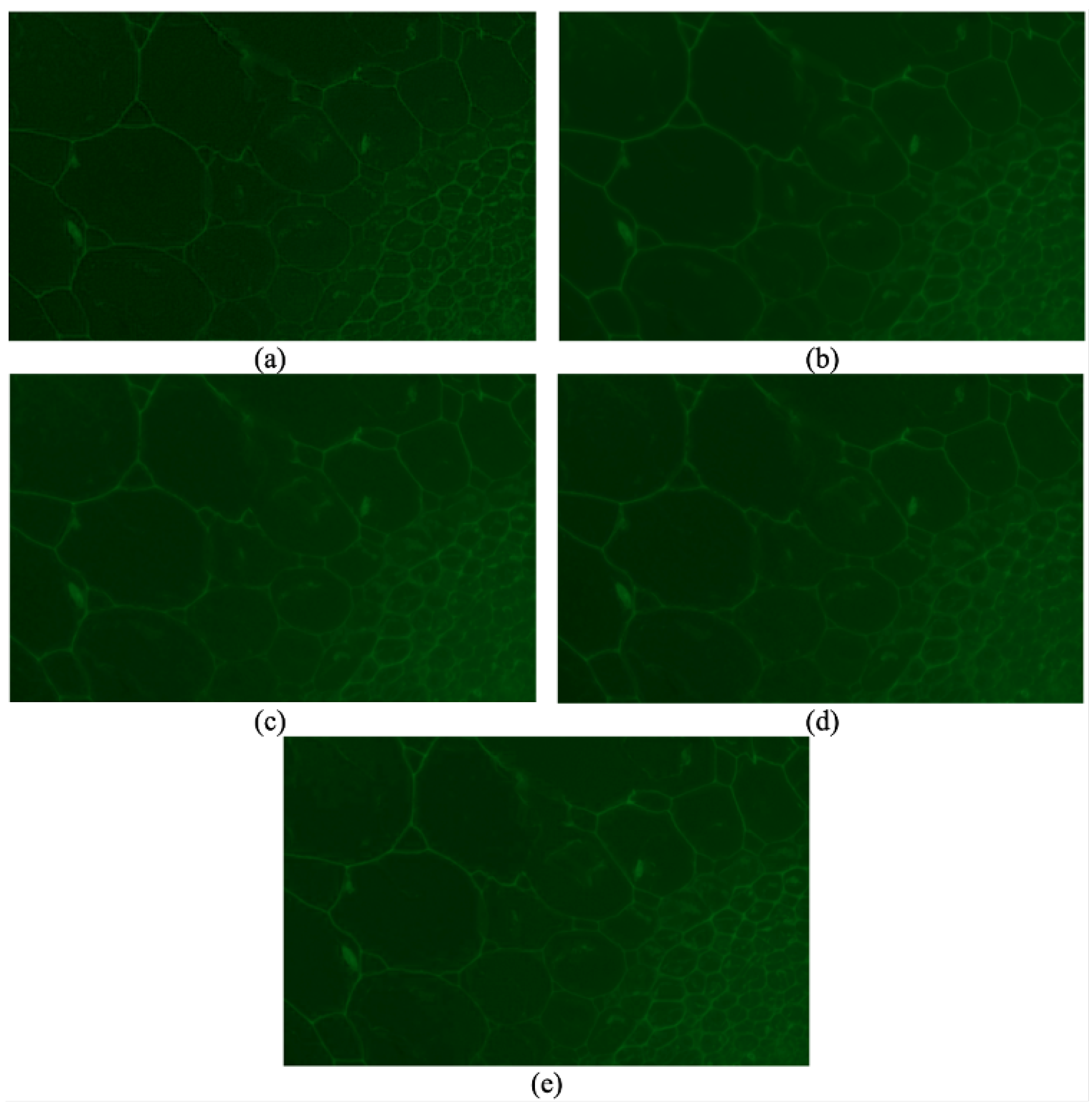 Sensors 24 04909 g004