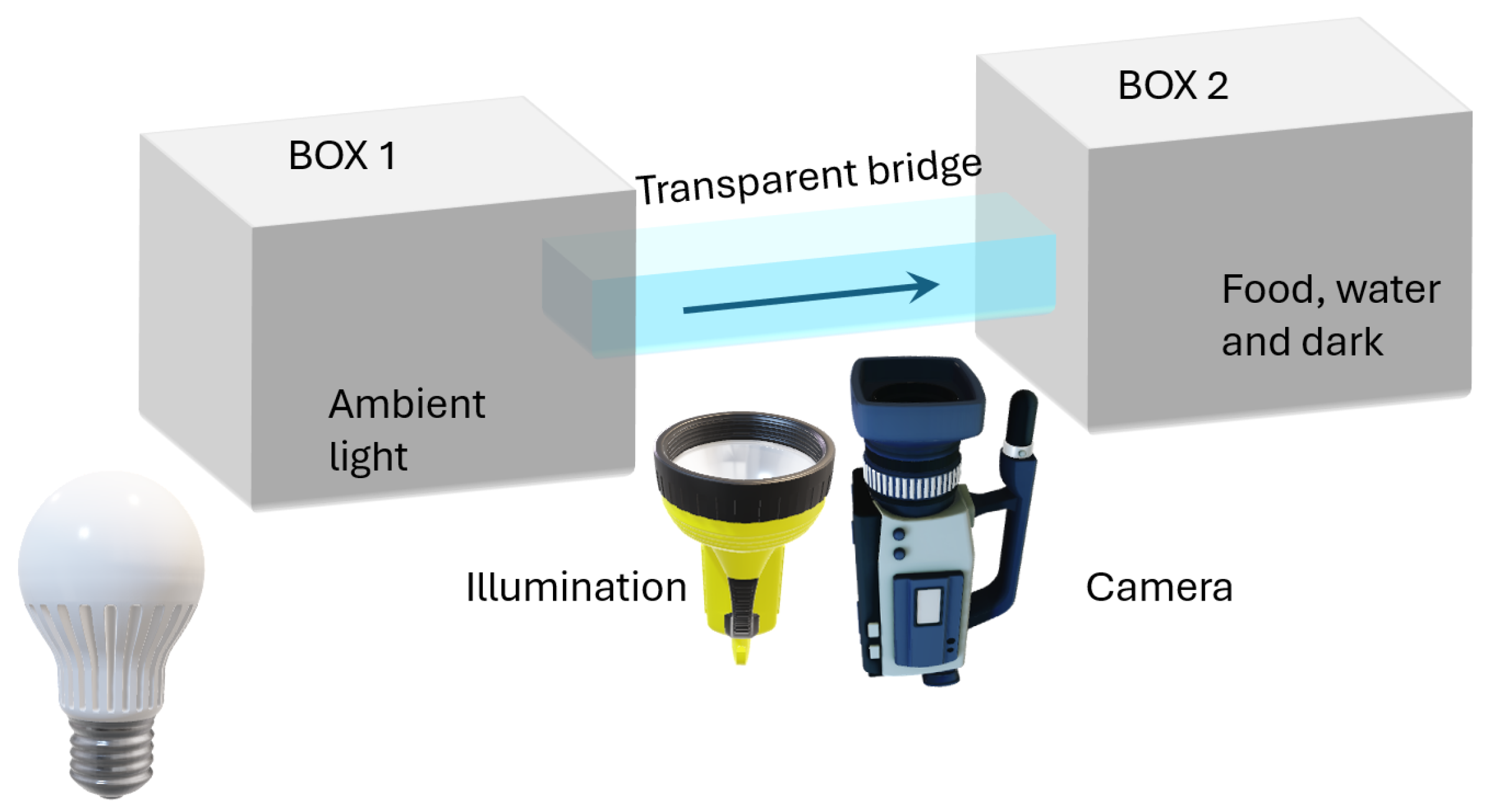 Sensors 24 04936 g001