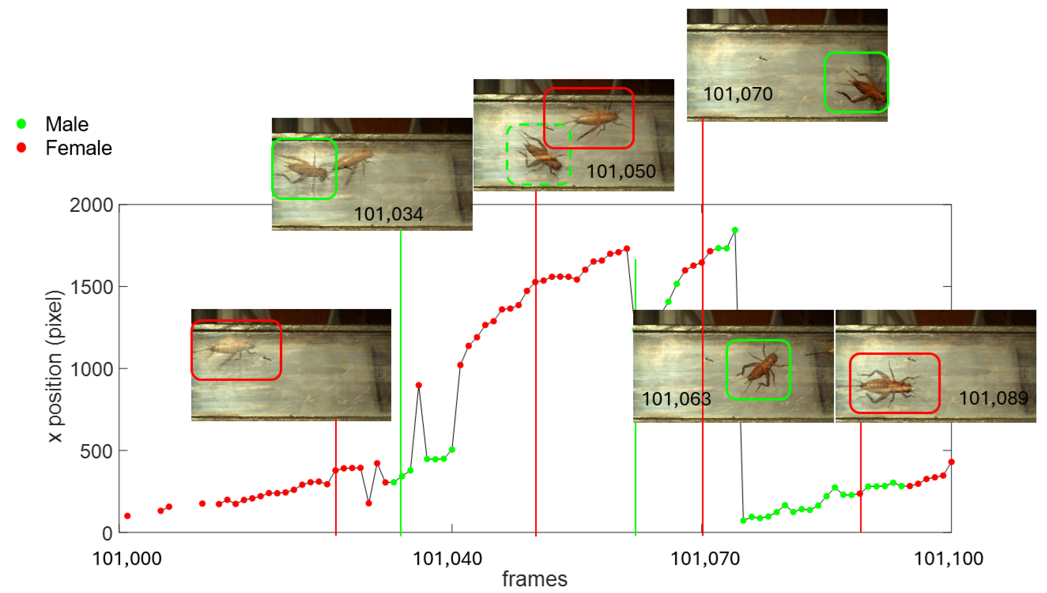 Sensors 24 04936 g007