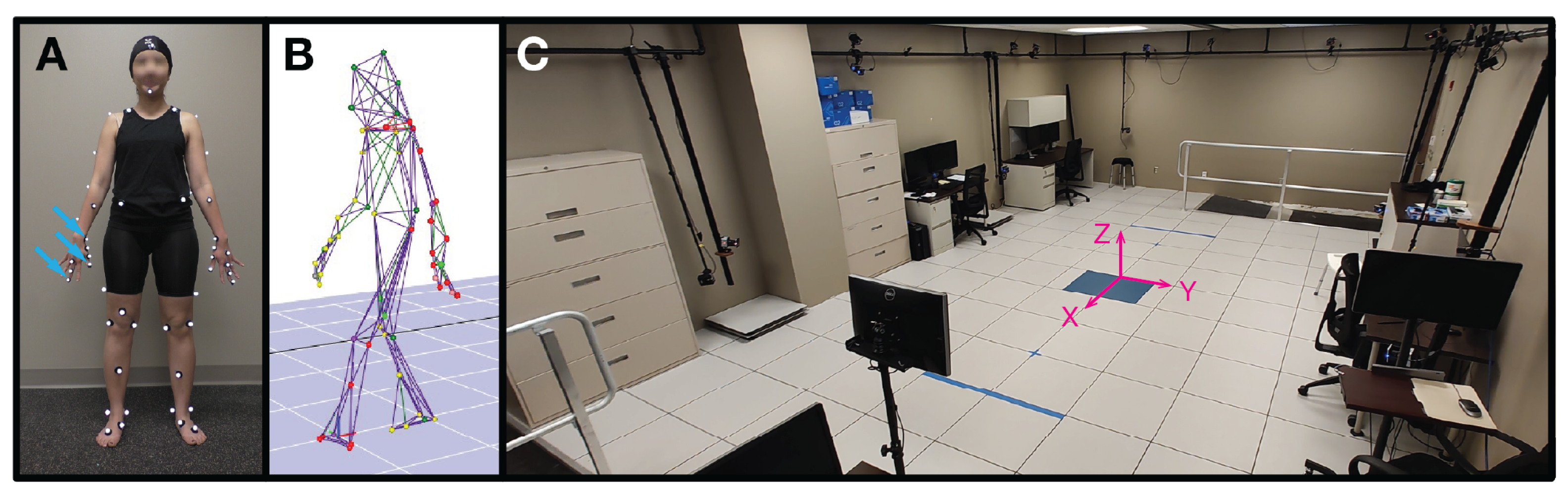 Sensors 24 04960 g001