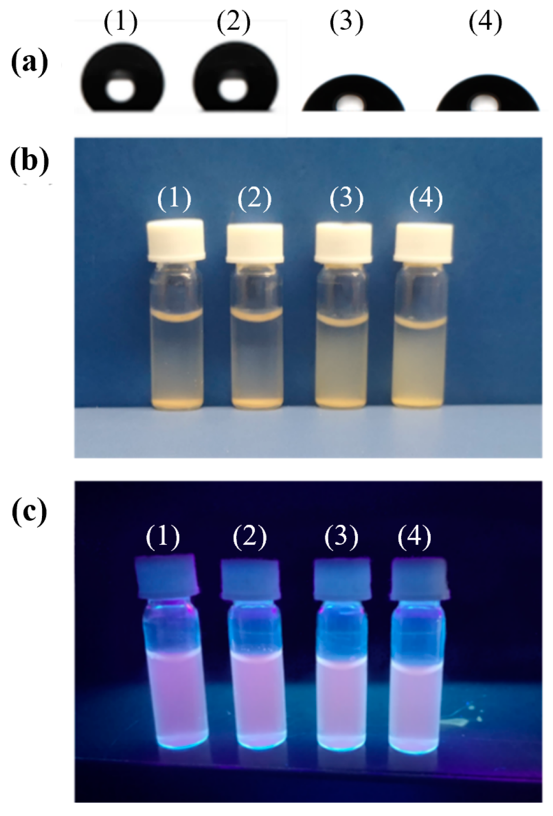 Sensors 24 05039 g003
